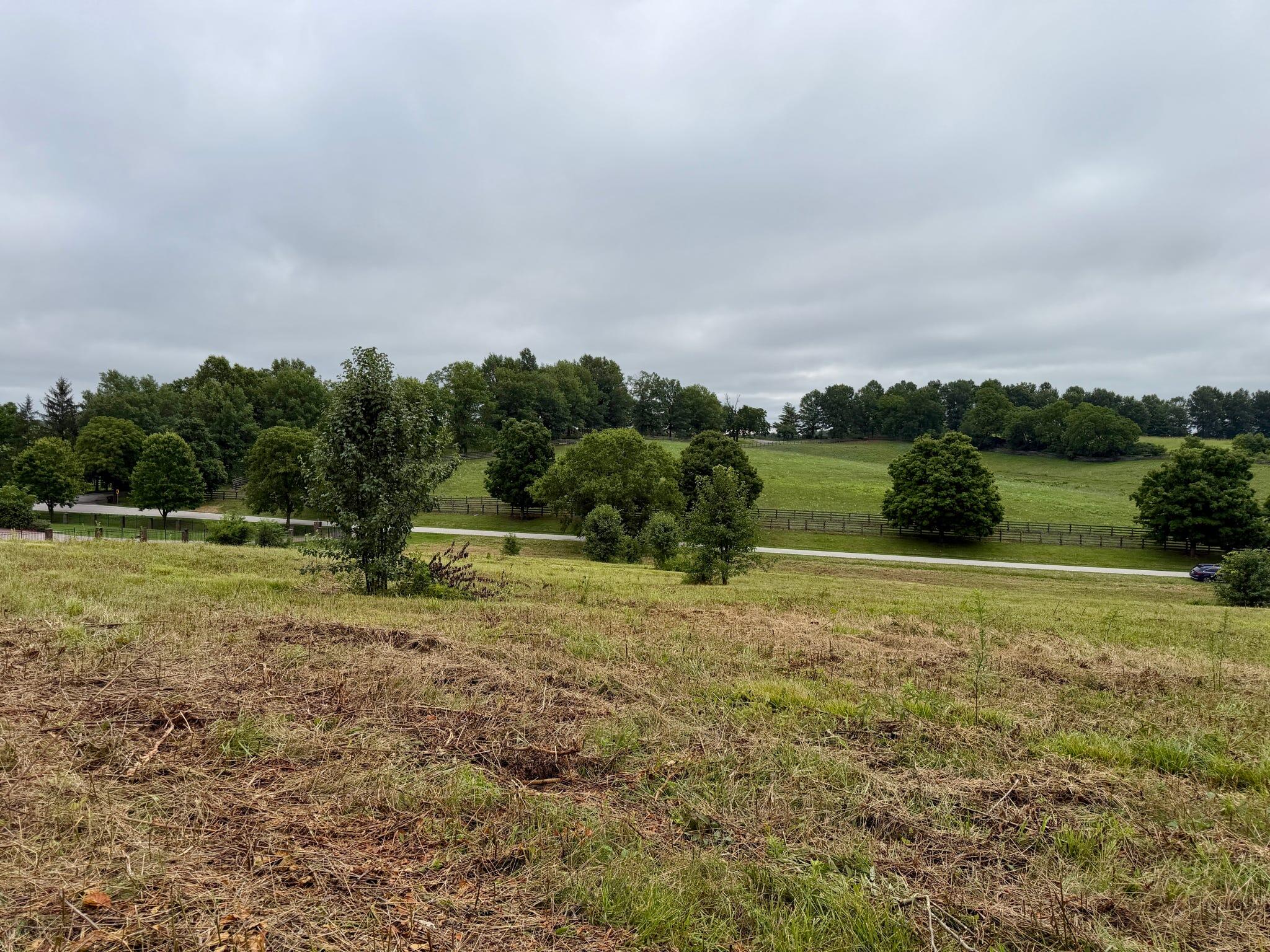 9a Walnut Grove Road Property Photo 12