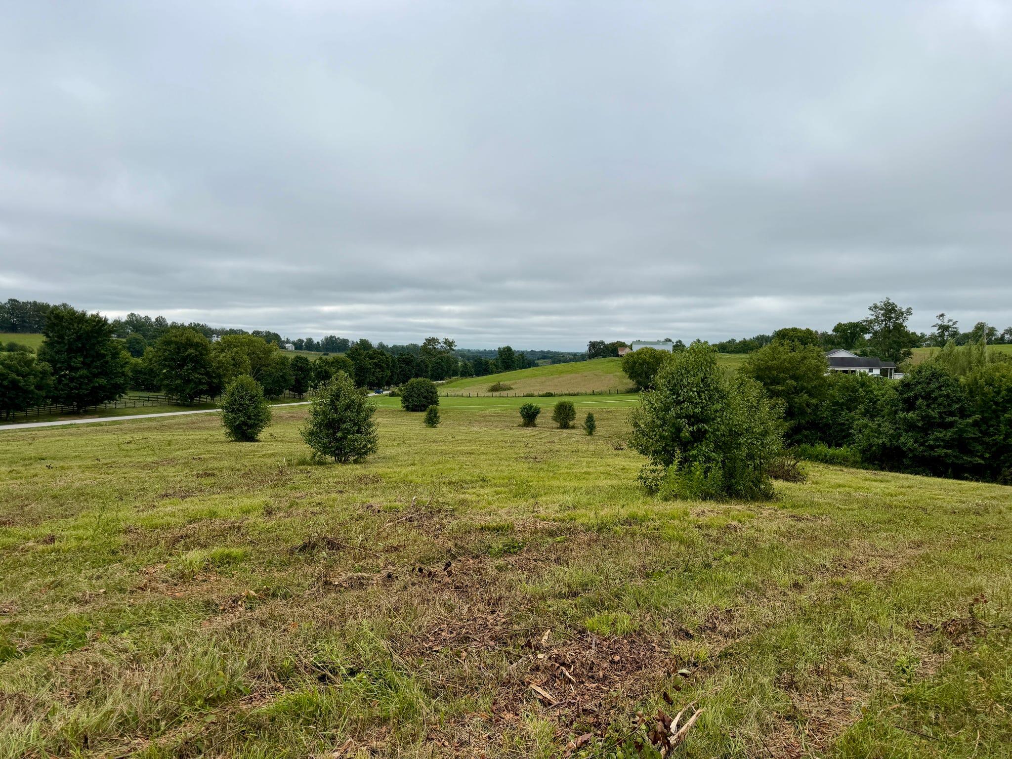 9a Walnut Grove Road Property Photo 13