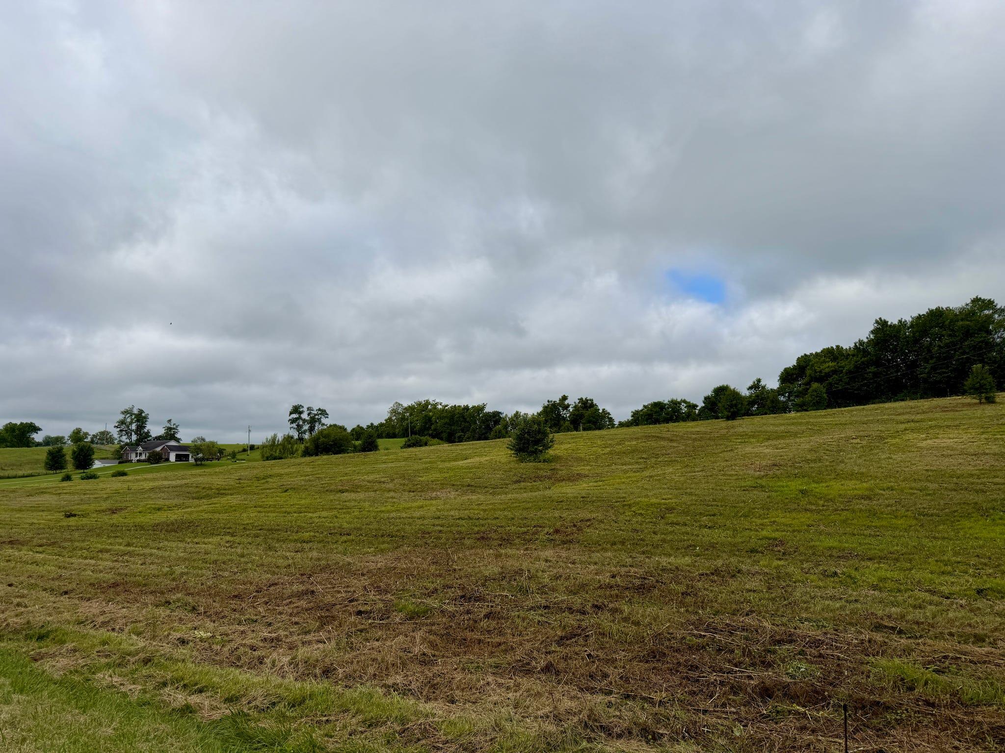 9a Walnut Grove Road Property Photo 14