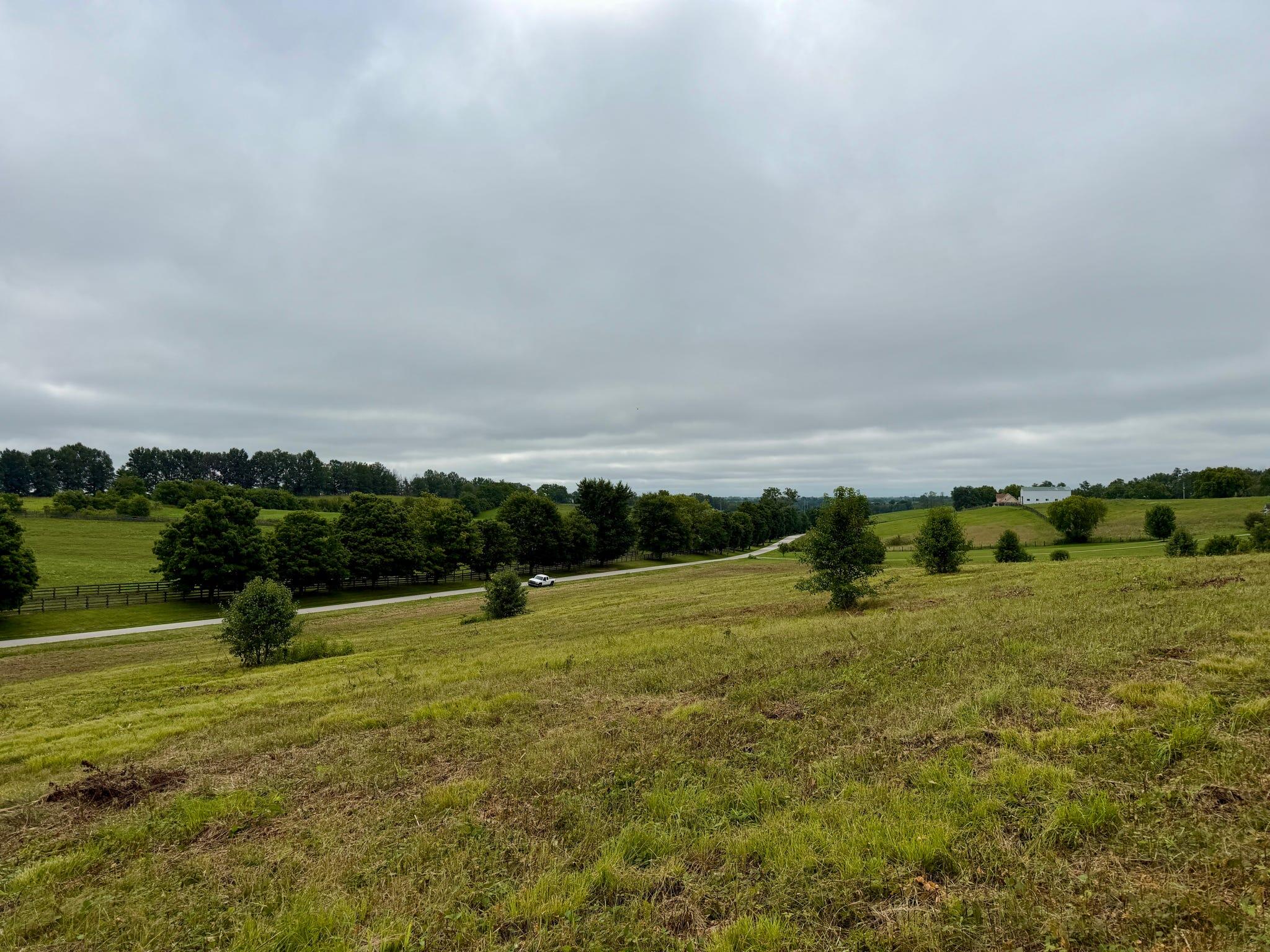 9a Walnut Grove Road Property Photo 15