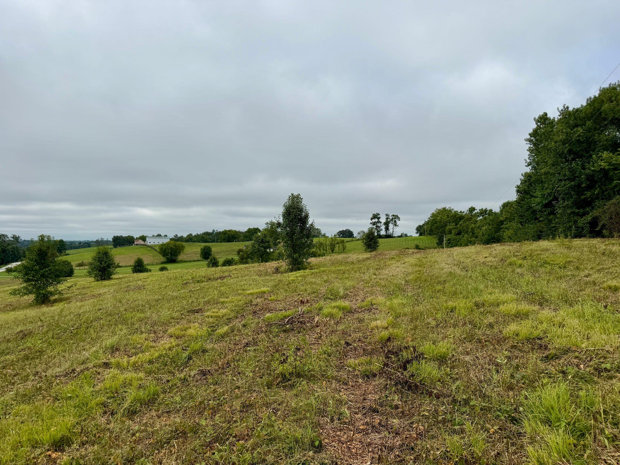 9a Walnut Grove Road Property Photo 16