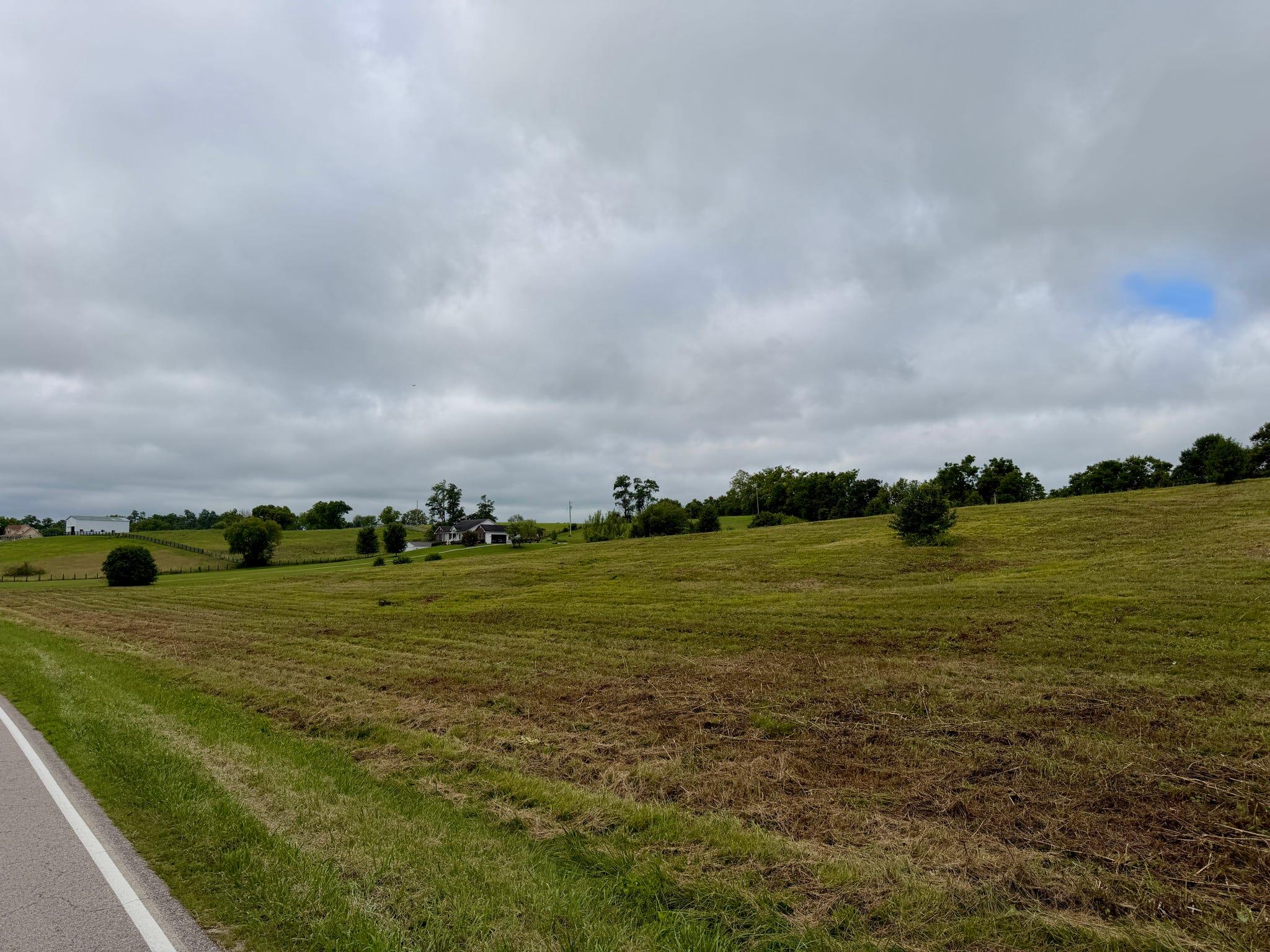 9a Walnut Grove Road Property Photo 17