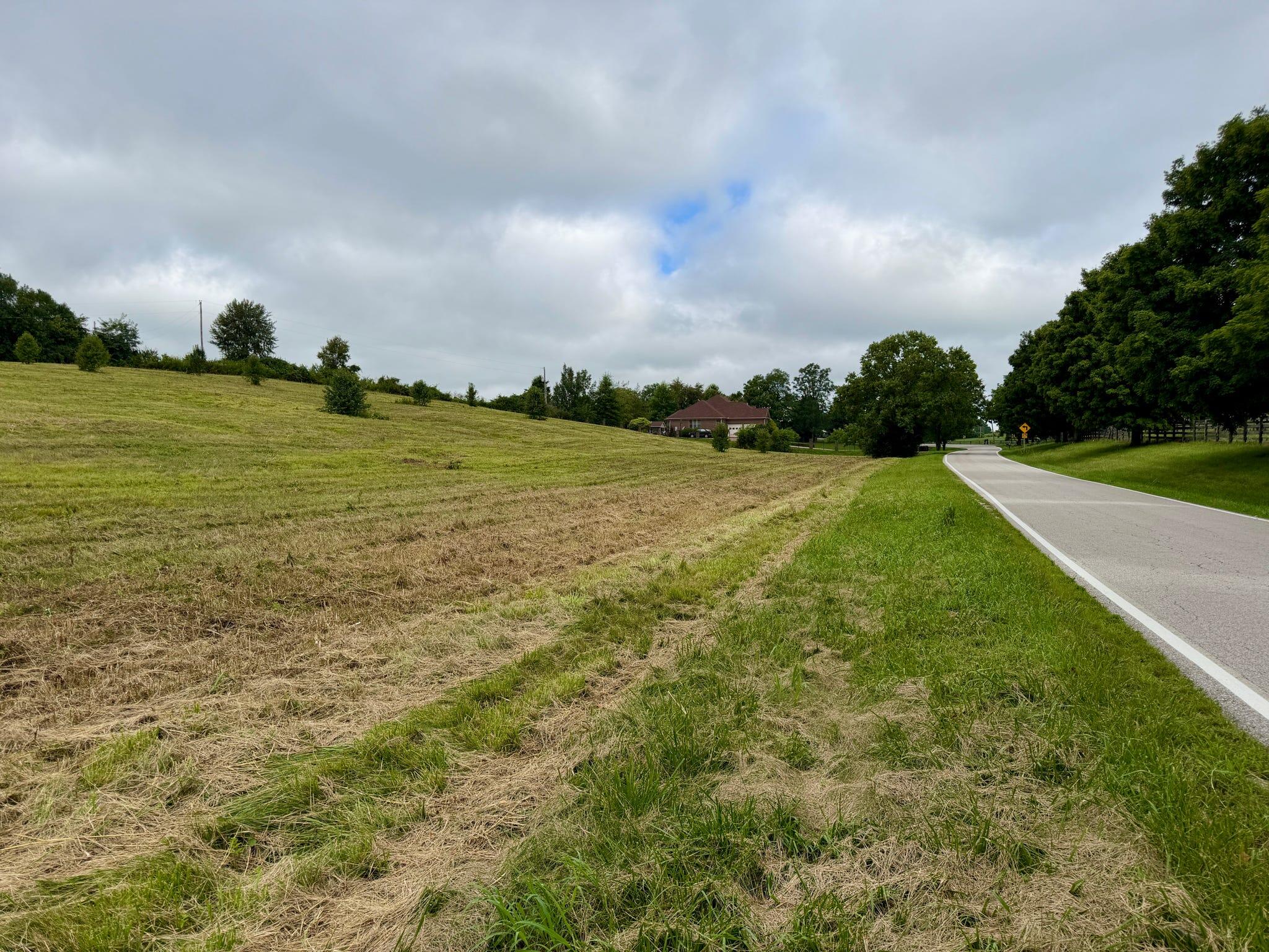 9a Walnut Grove Road Property Photo 18