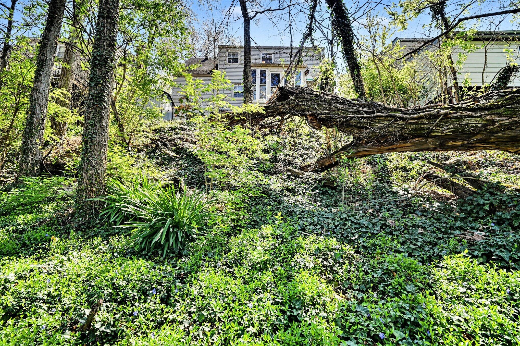 1122 Mount Allen Road Property Photo 24