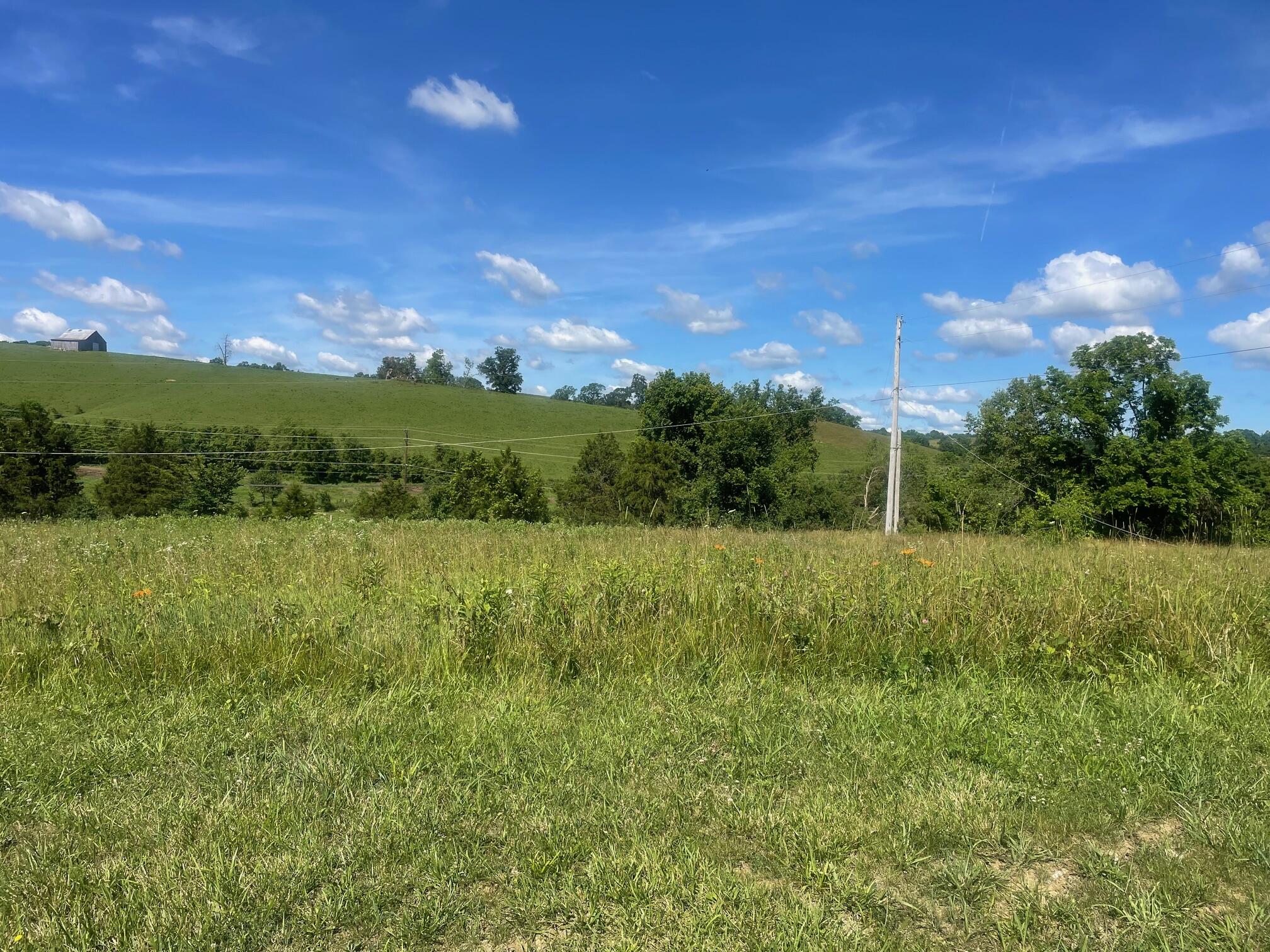 1.70 Acres Lynn Lane Property Photo 1