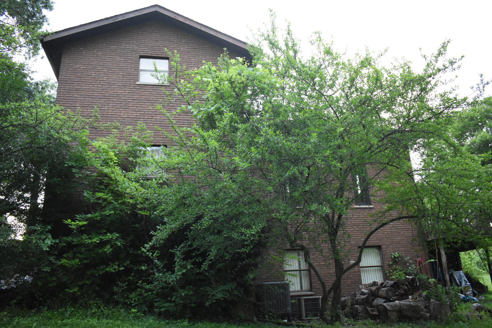 10716 Sedco Drive Property Photo 3