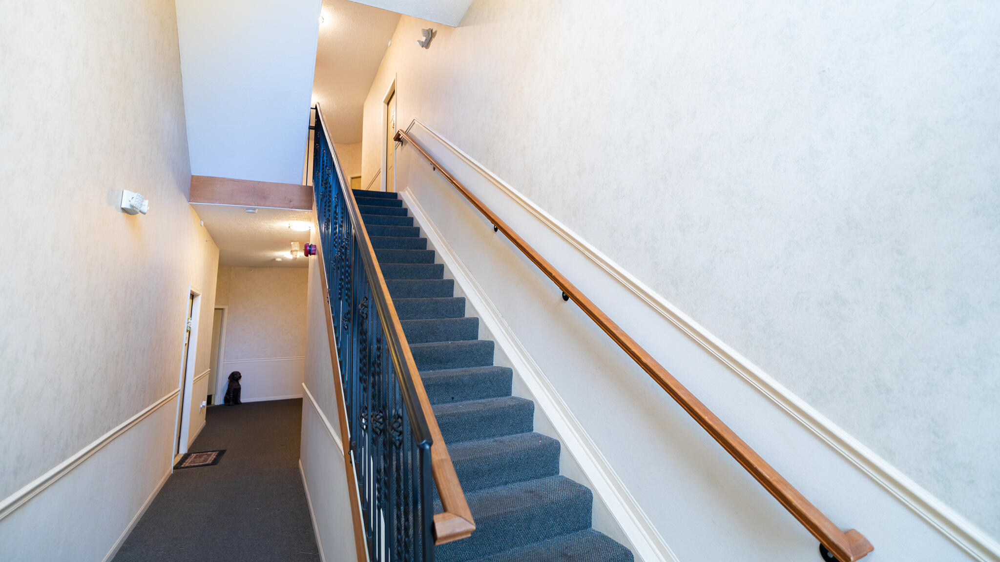 990 Mistflower Lane Property Photo 3
