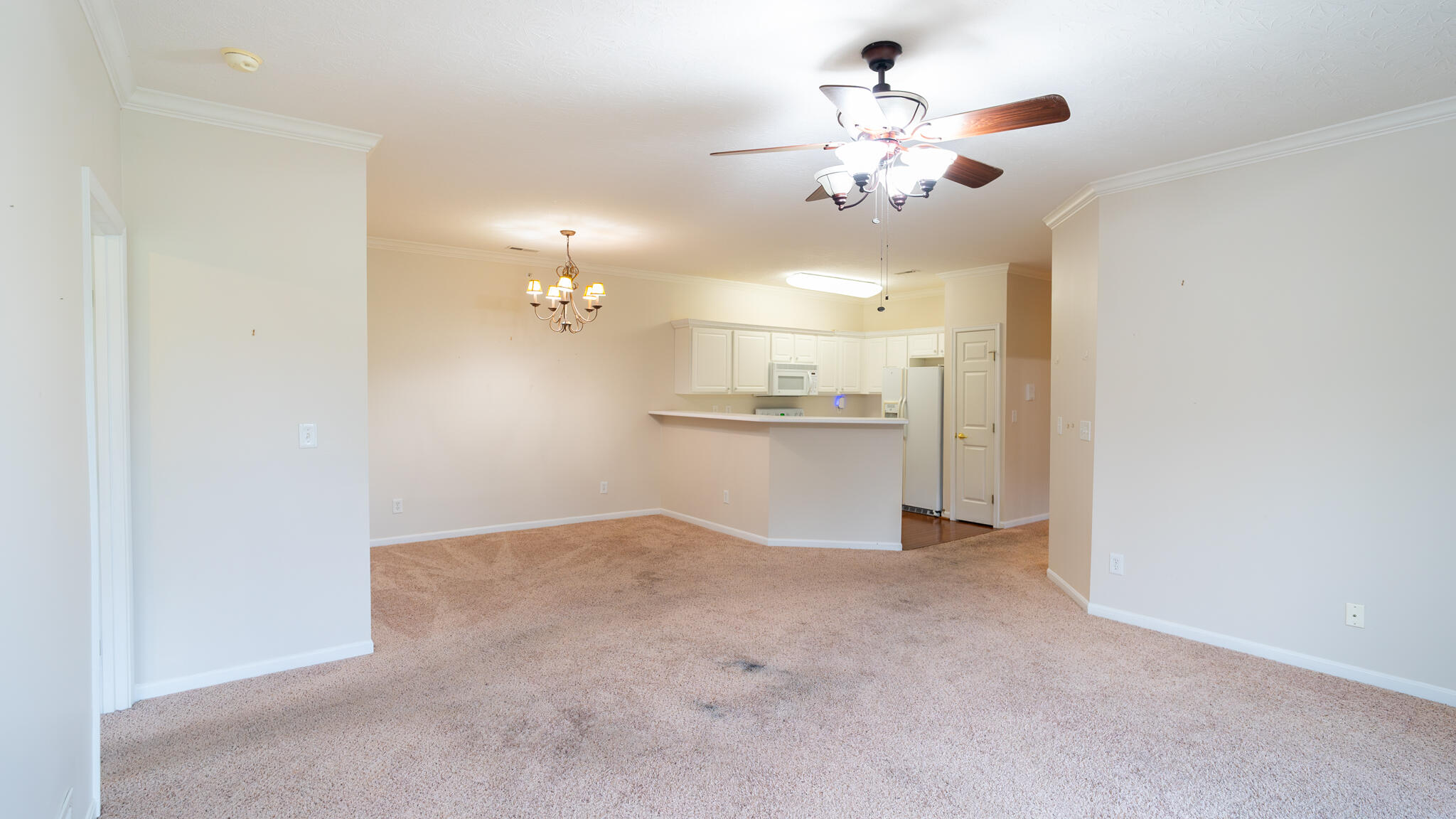 990 Mistflower Lane Property Photo 8