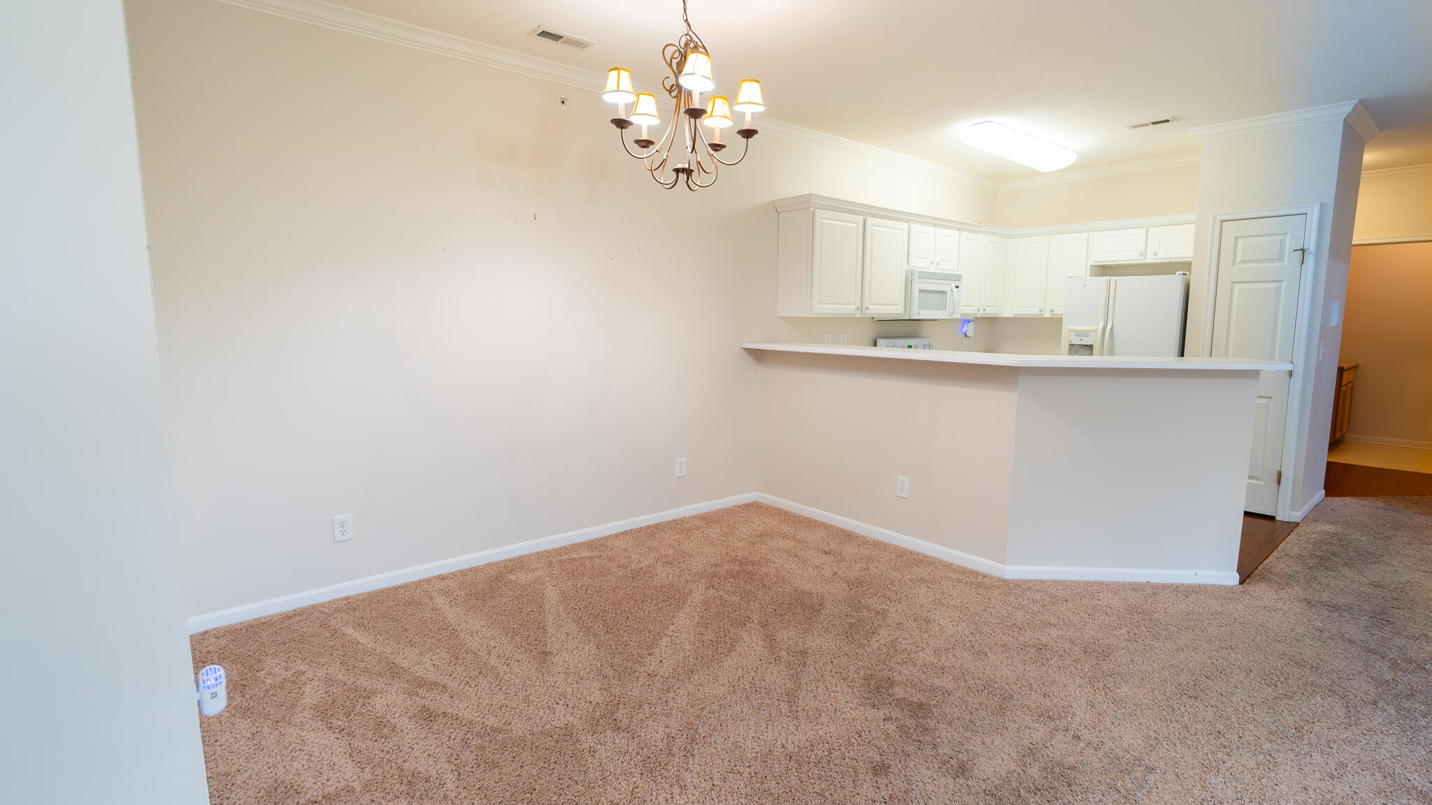 990 Mistflower Lane Property Photo 10
