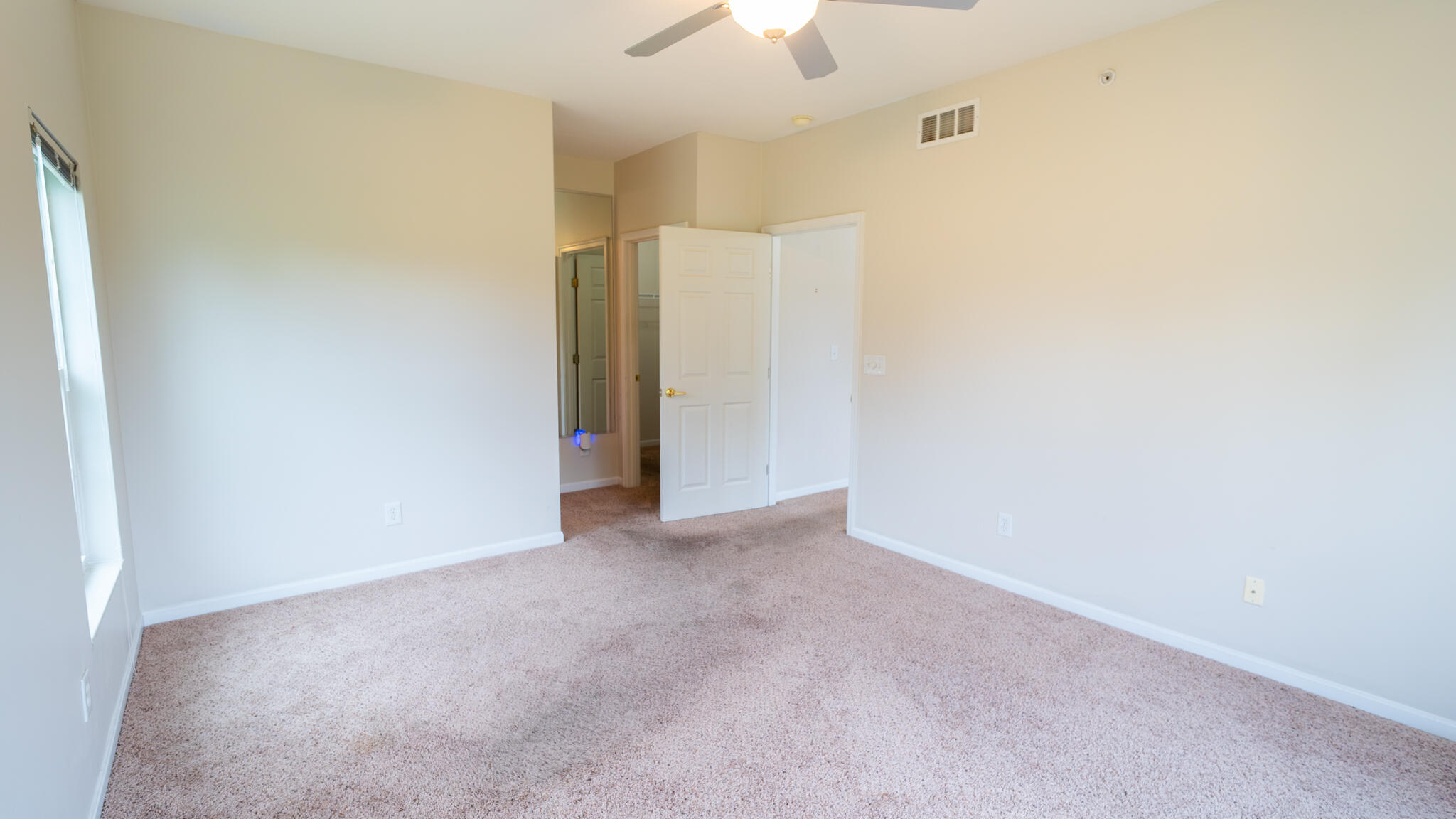 990 Mistflower Lane Property Photo 13