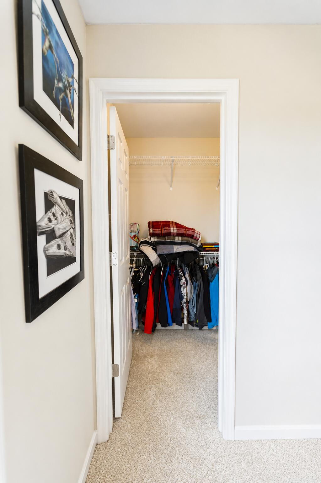 1833 Patton Drive Property Photo 18