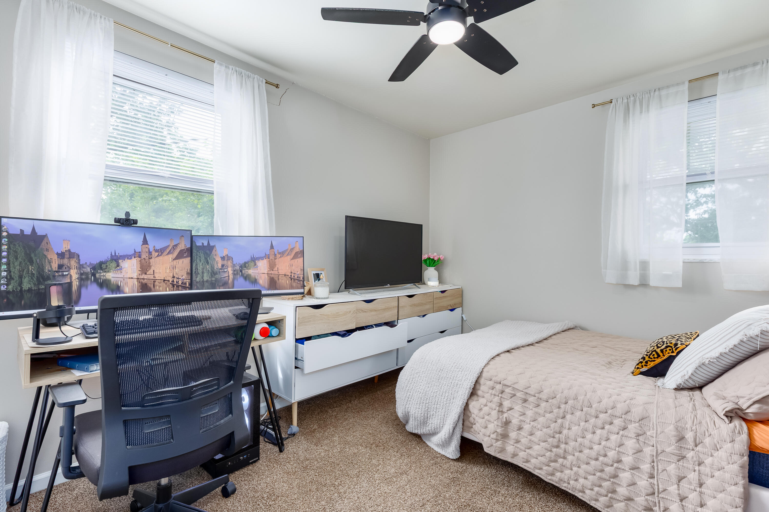 3 Ryle Road Property Photo 12
