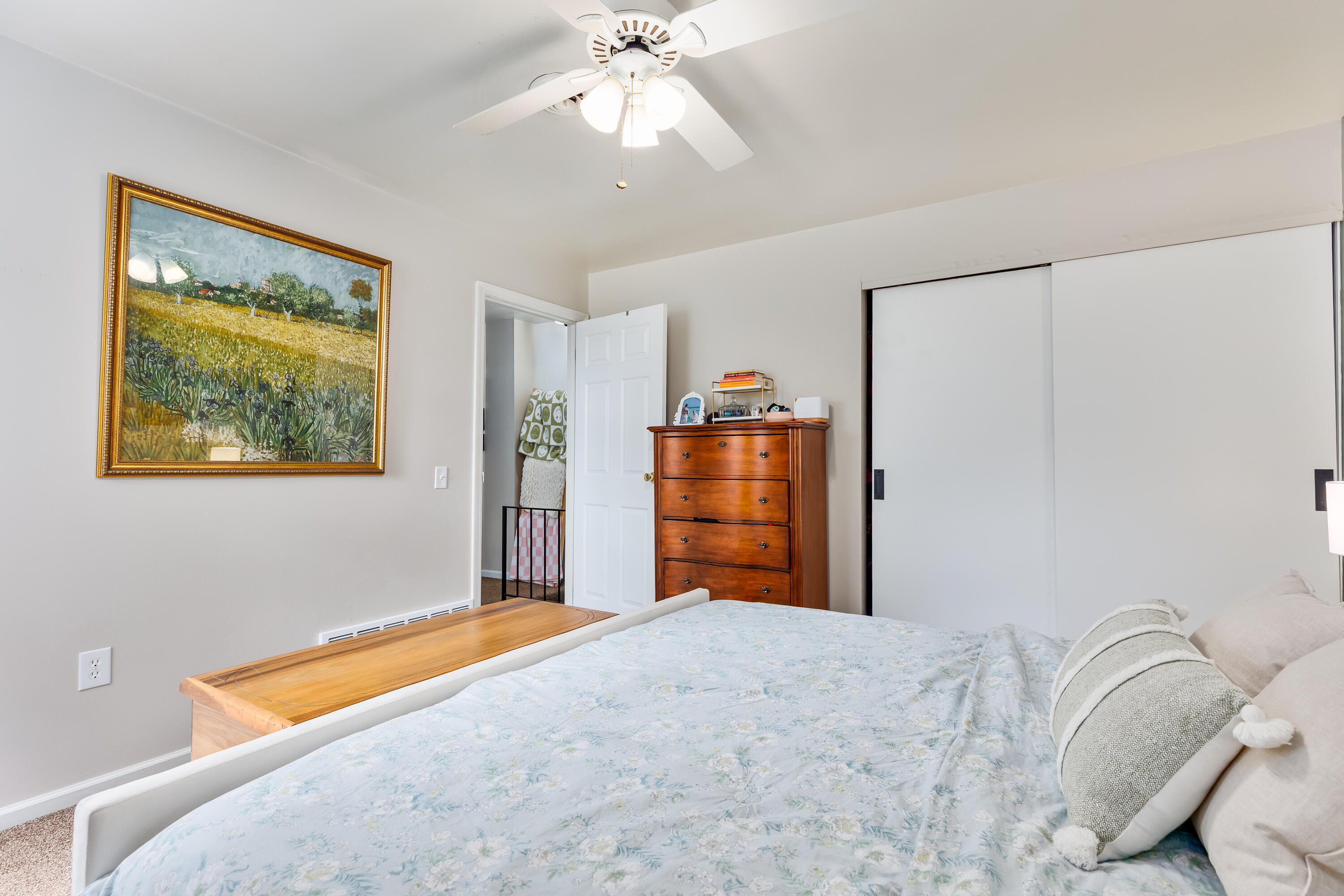 3 Ryle Road Property Photo 15