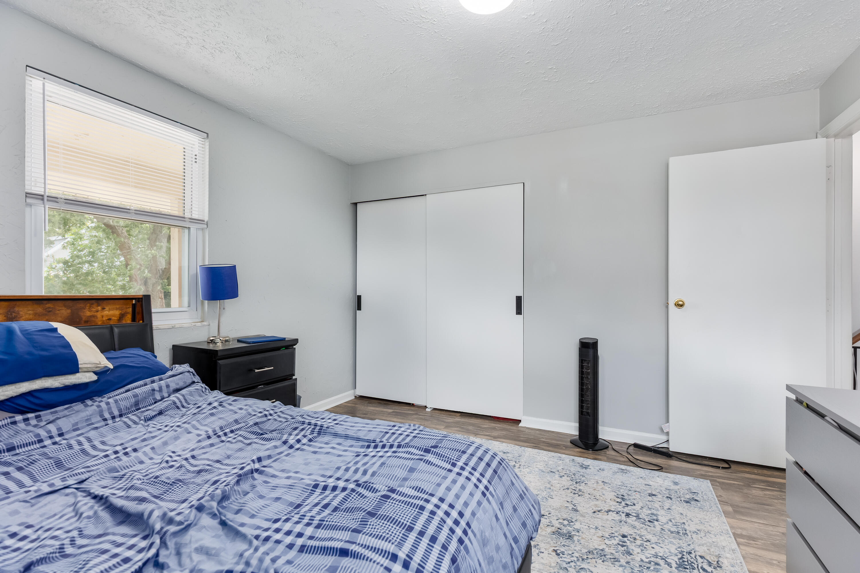 3 Ryle Road Property Photo 29