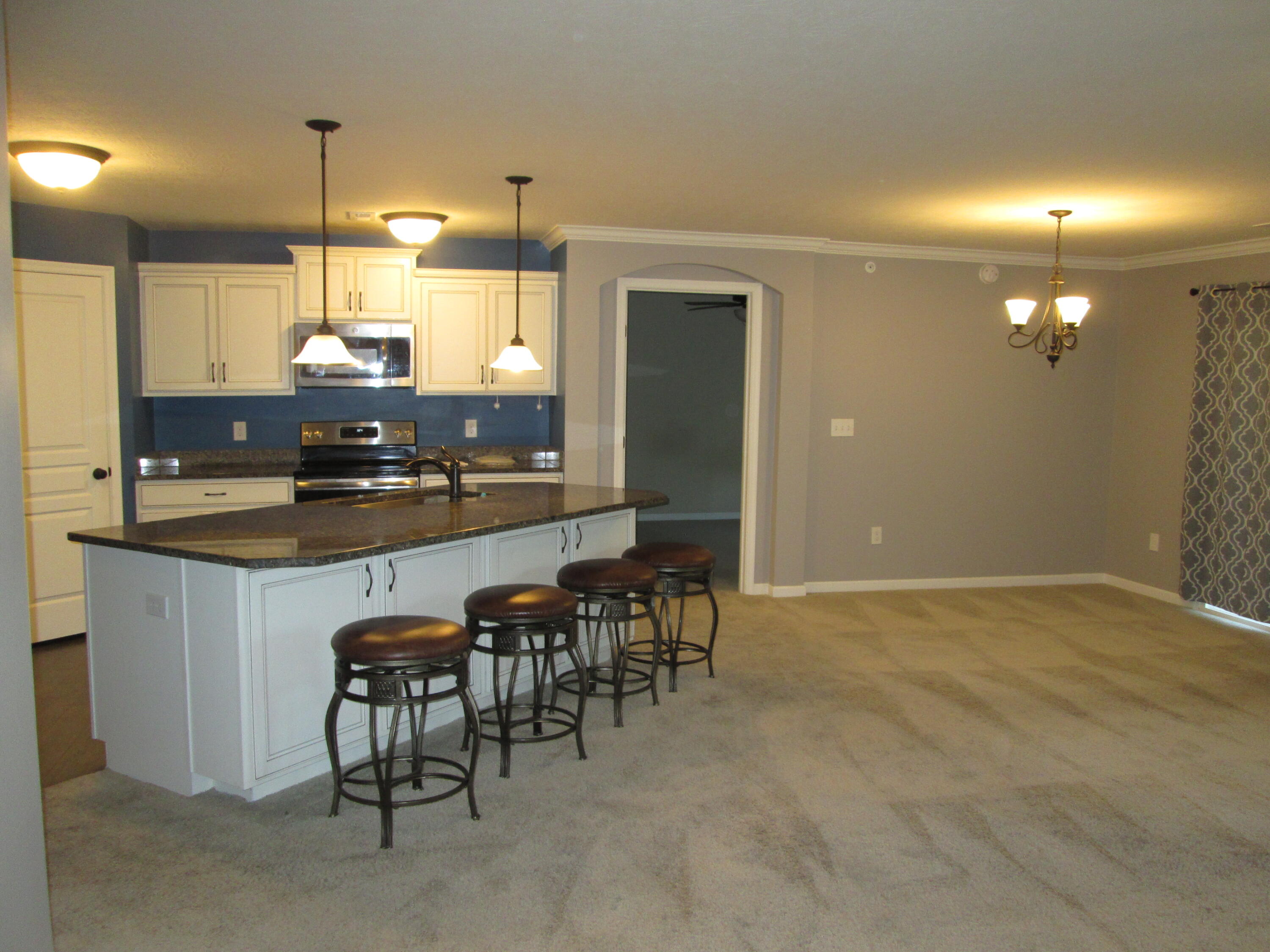 3988 Country Mill Ridge Property Photo 6