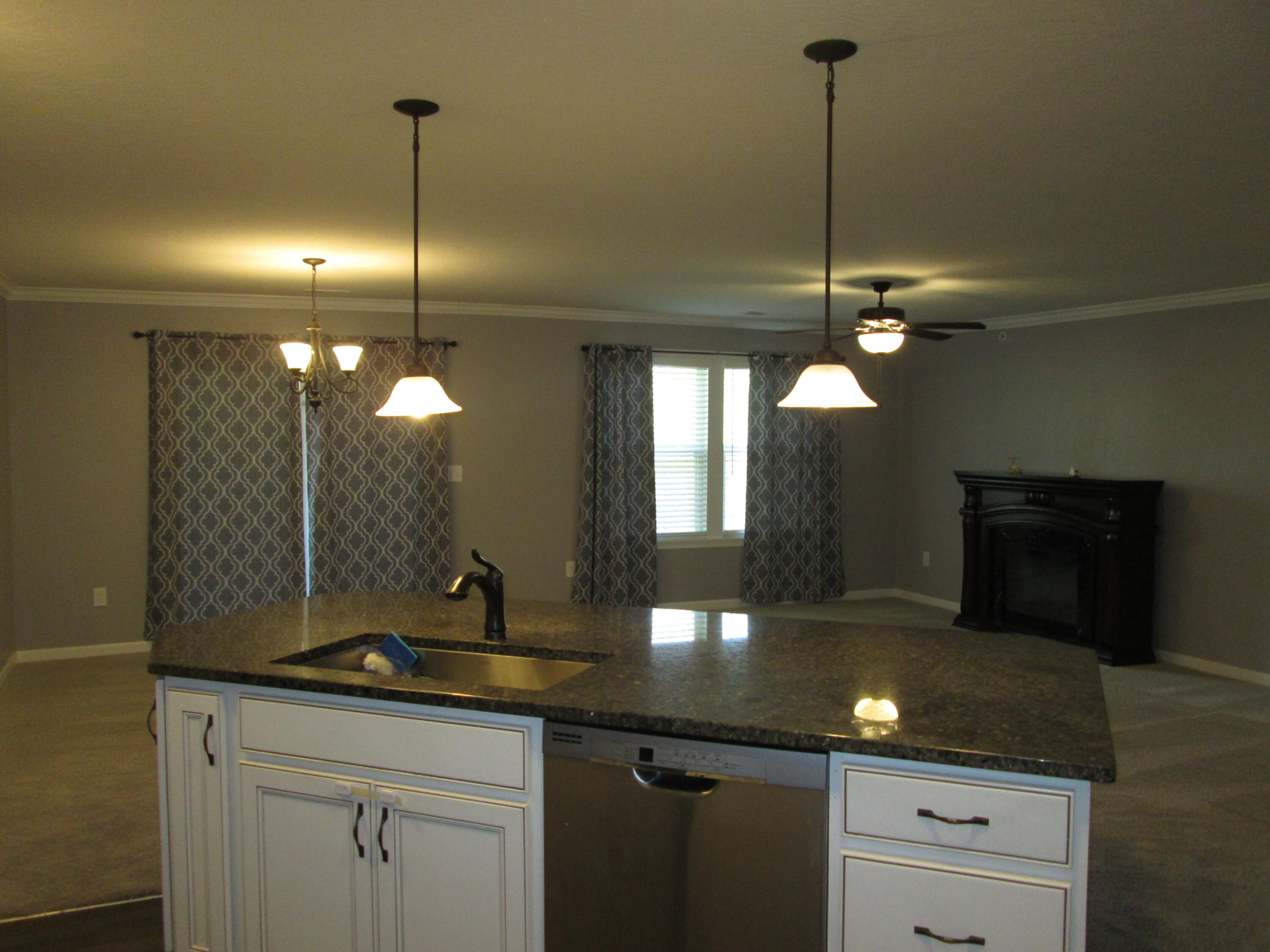 3988 Country Mill Ridge Property Photo 9