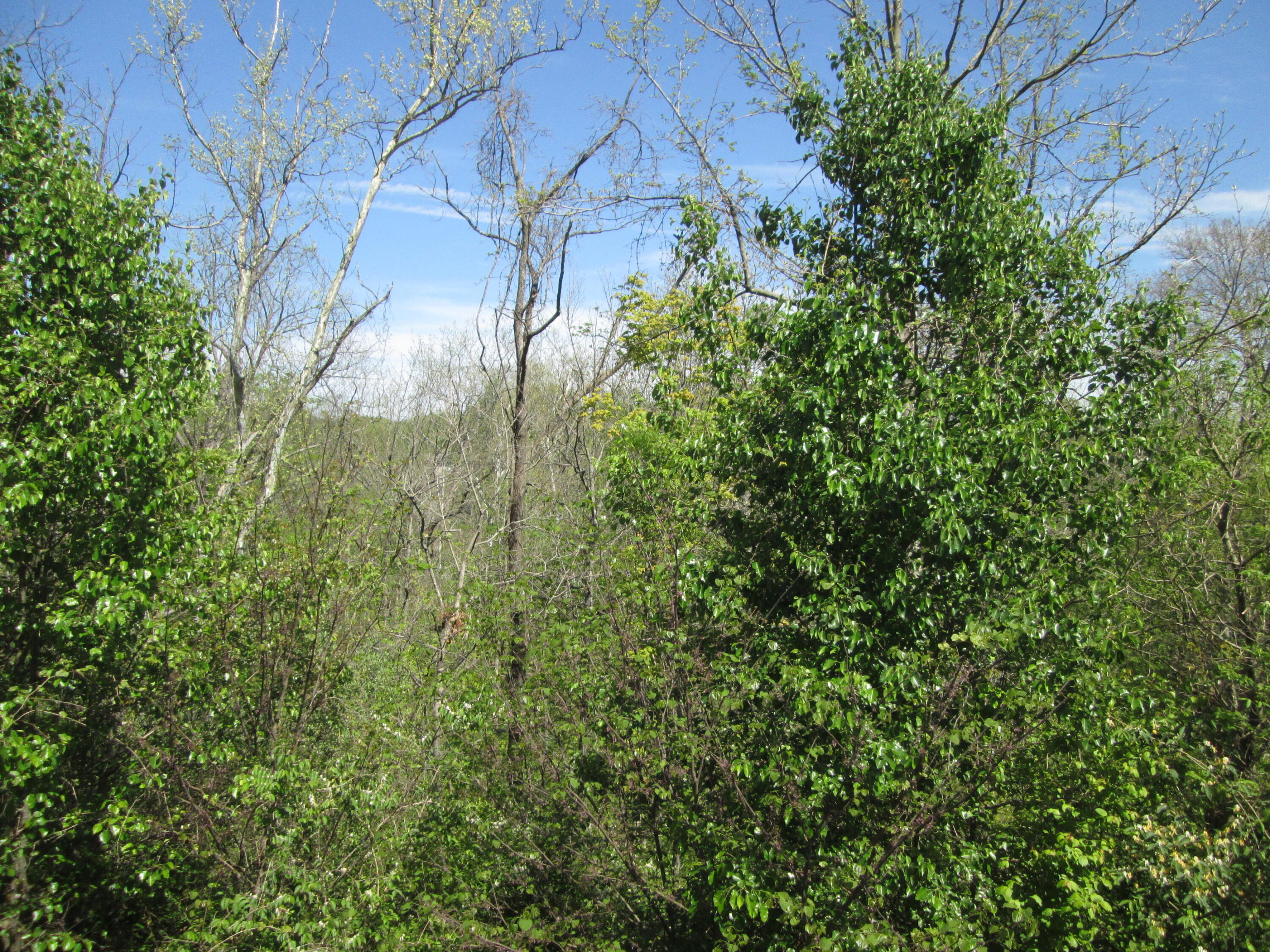 3988 Country Mill Ridge Property Photo 20