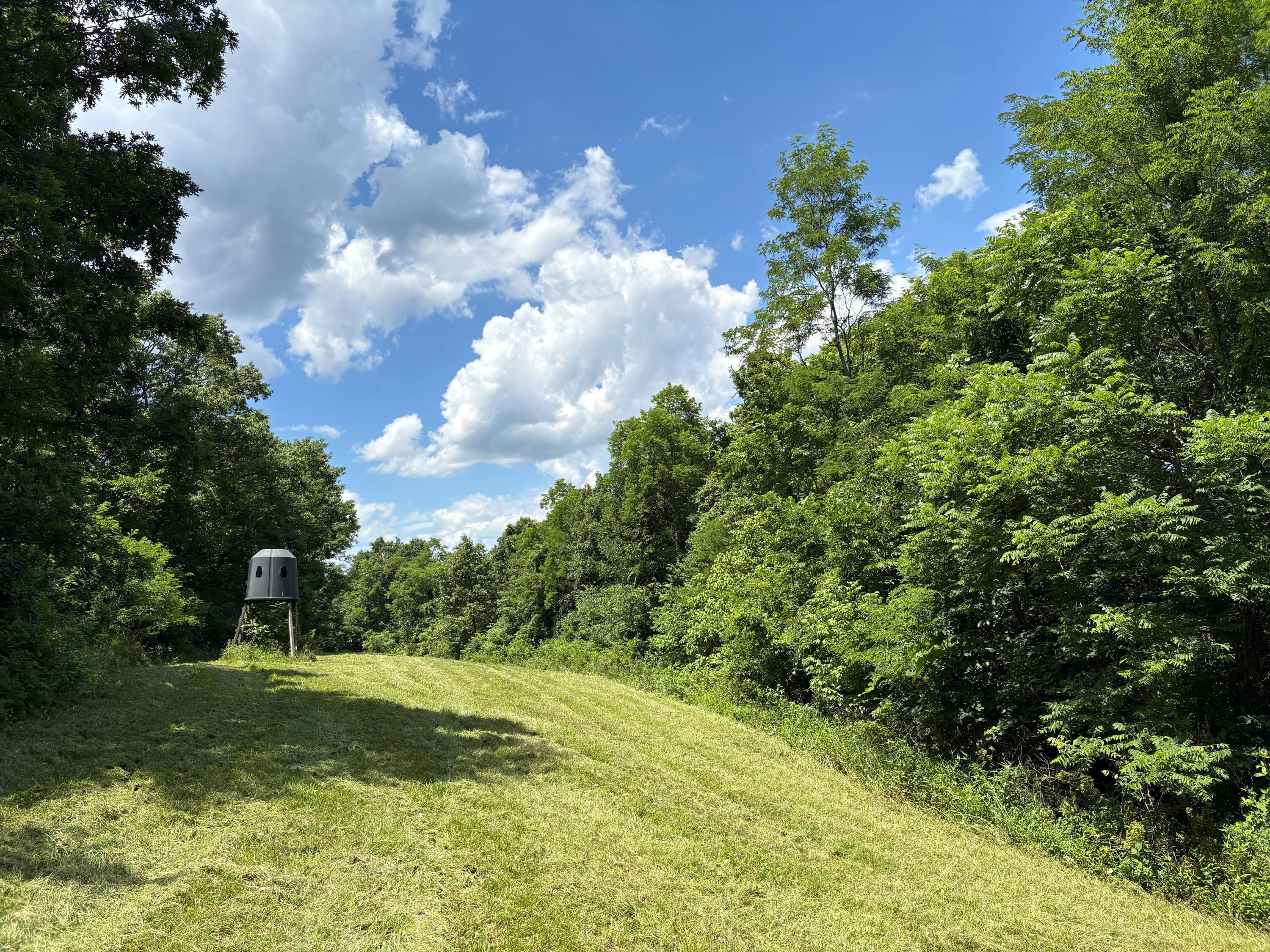 8025 Georgetown Road Property Photo 44