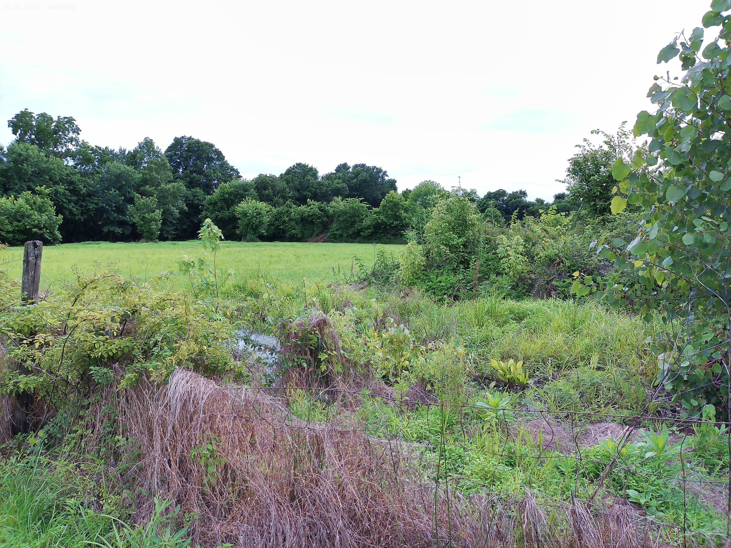 2650 Old Landing Road Property Photo 1