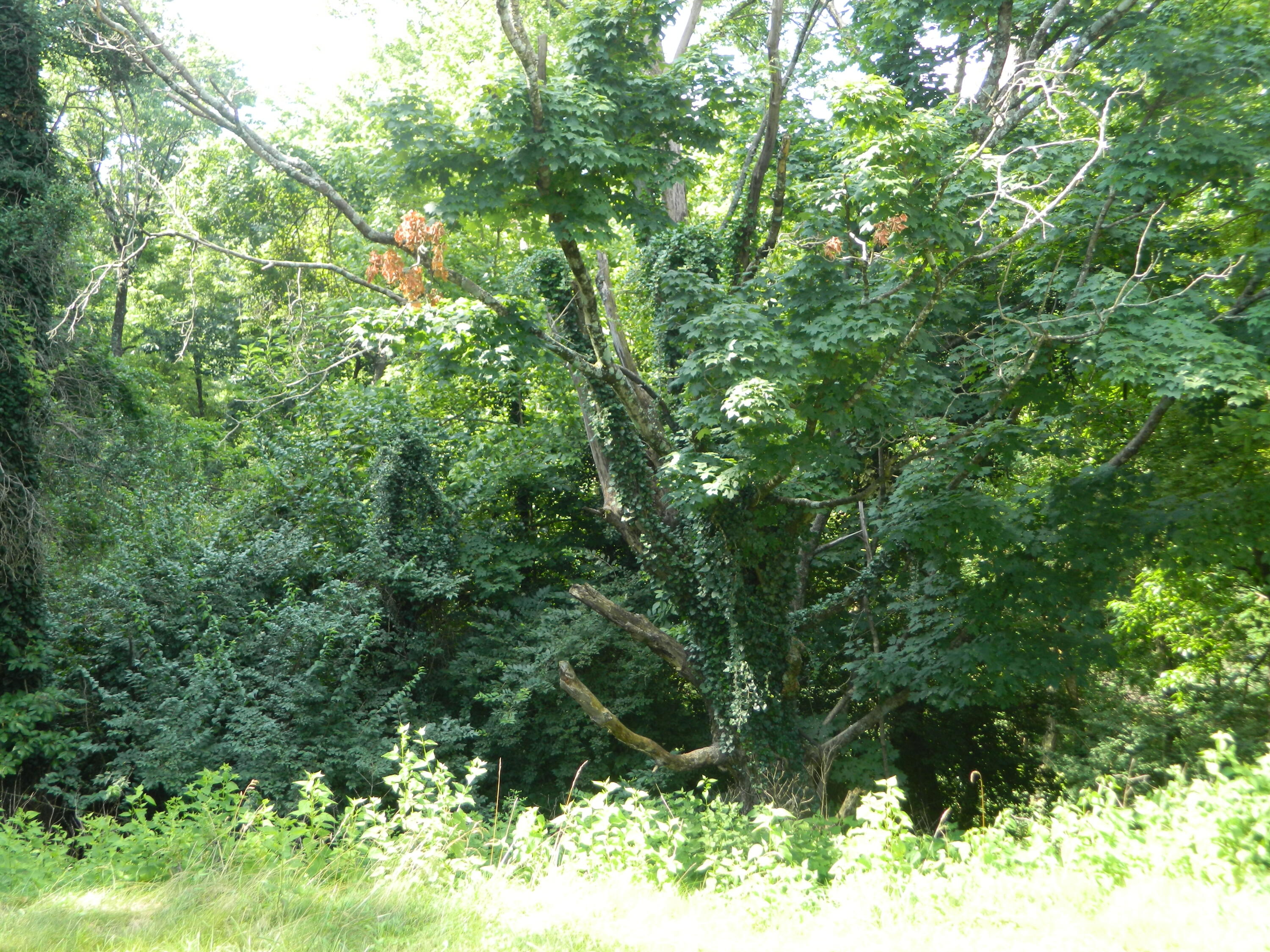 40 Harrison Avenue Property Photo 21