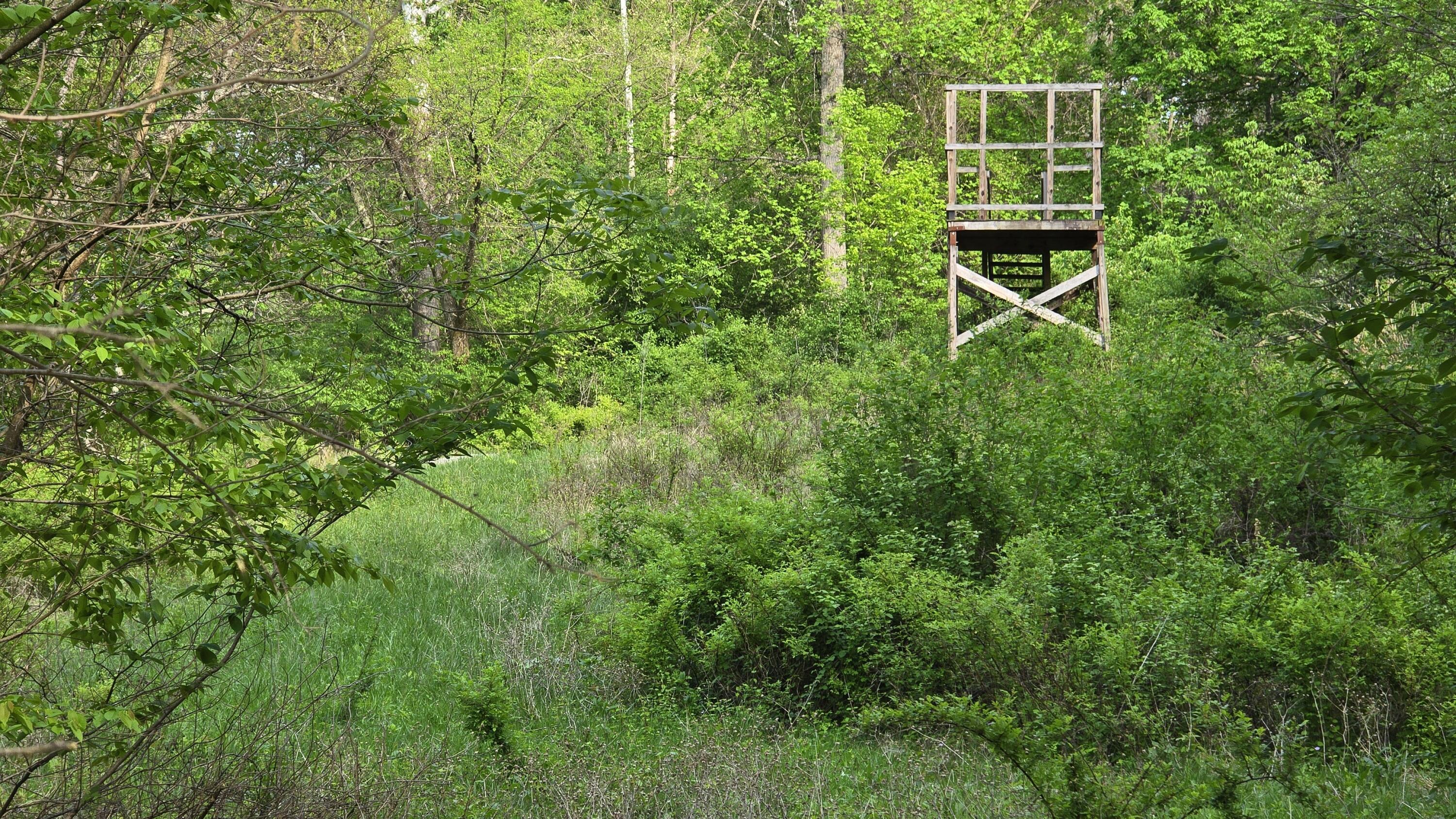 9477 Beech Grove Road Property Photo 7