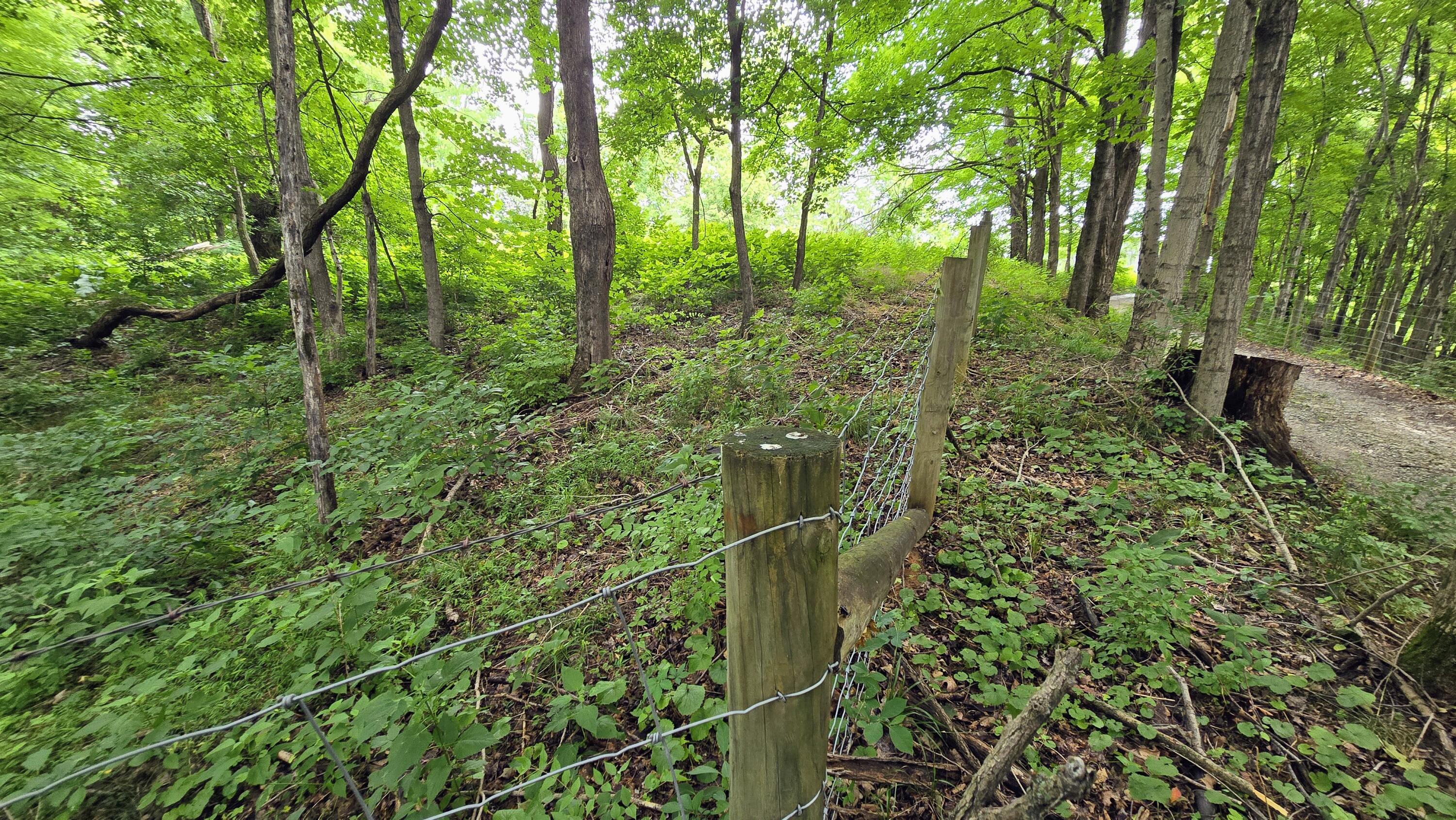 9477 Beech Grove Road Property Photo 16