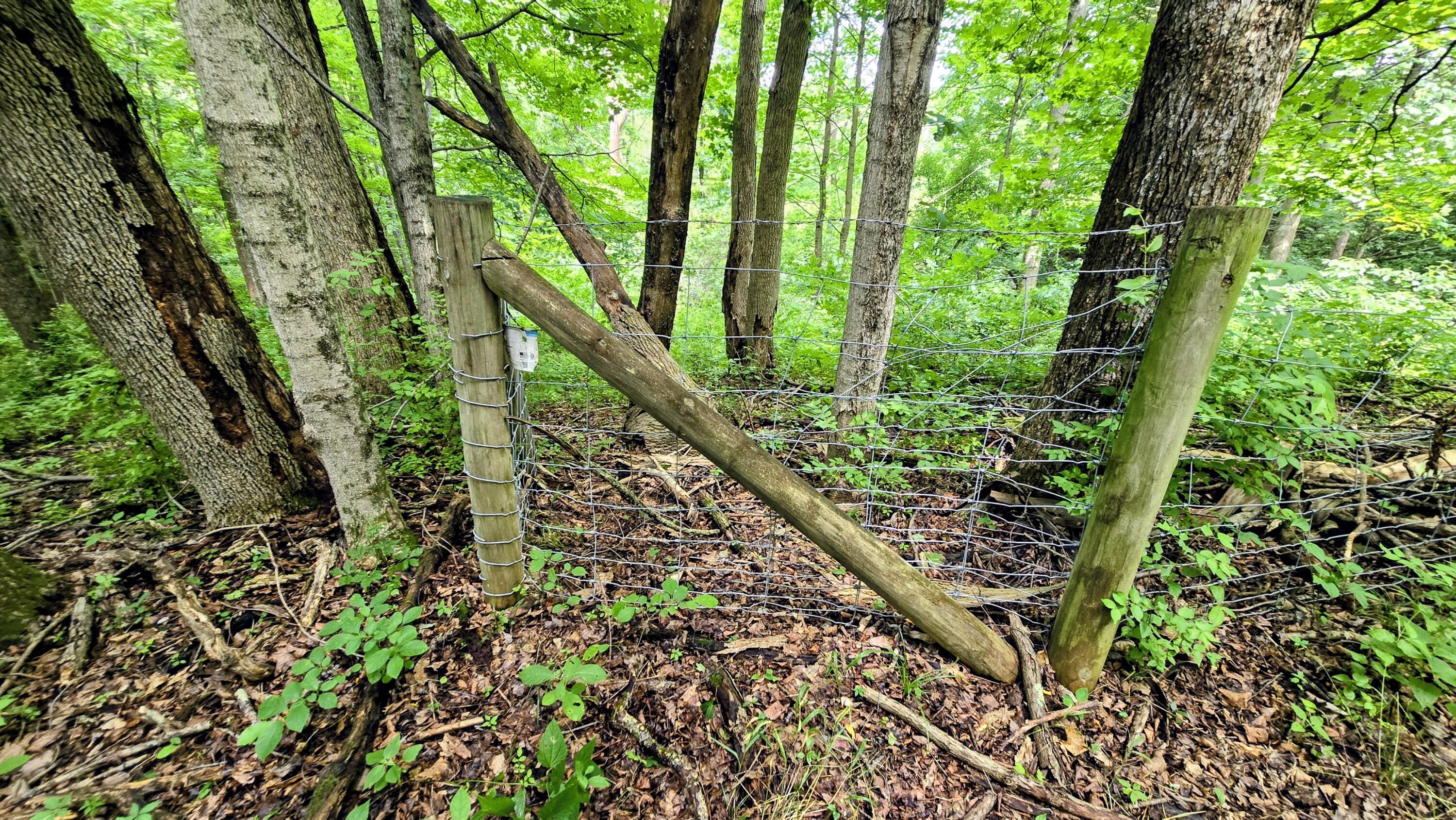 9477 Beech Grove Road Property Photo 17