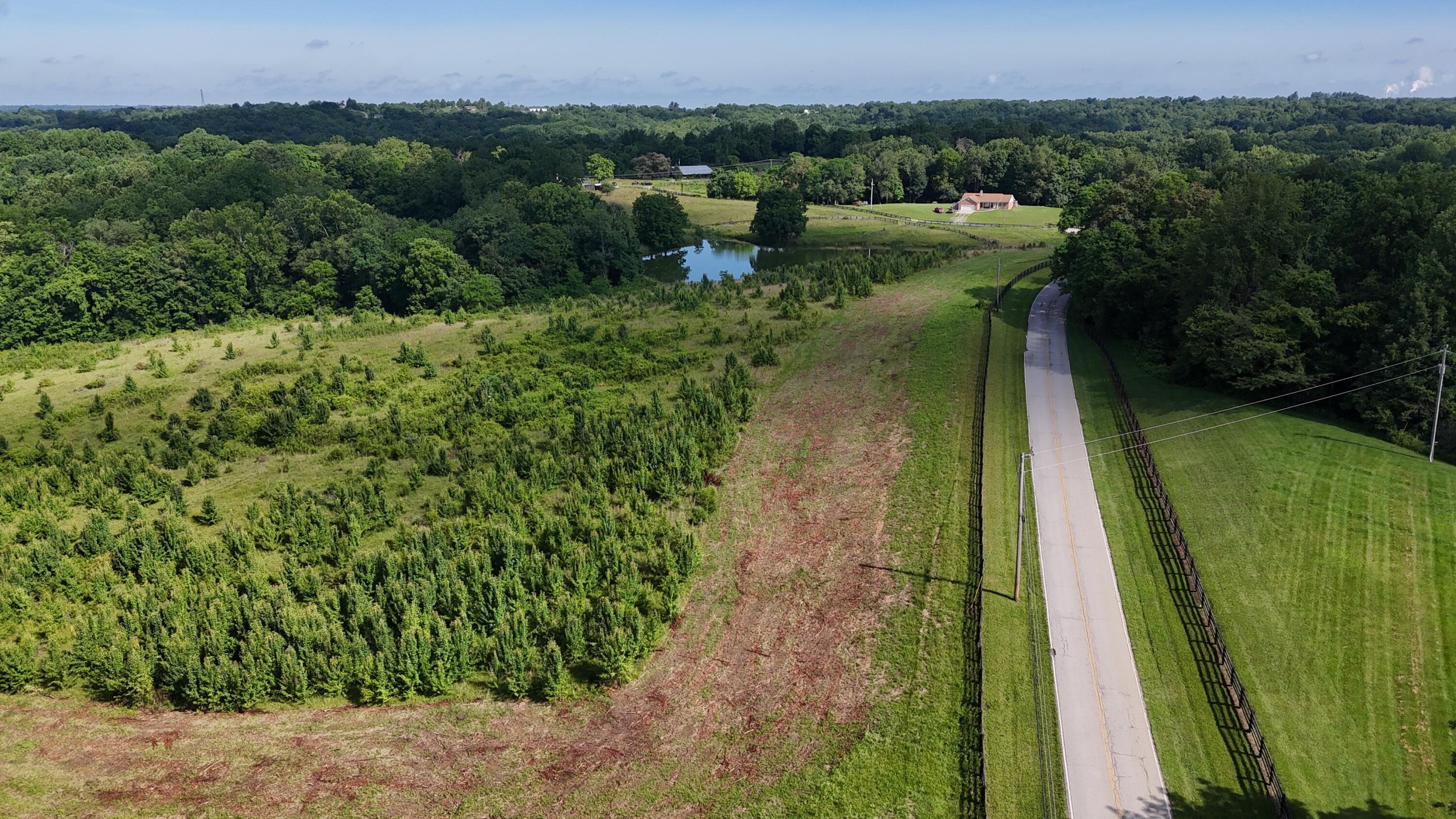 9477 Beech Grove Road Property Photo 29