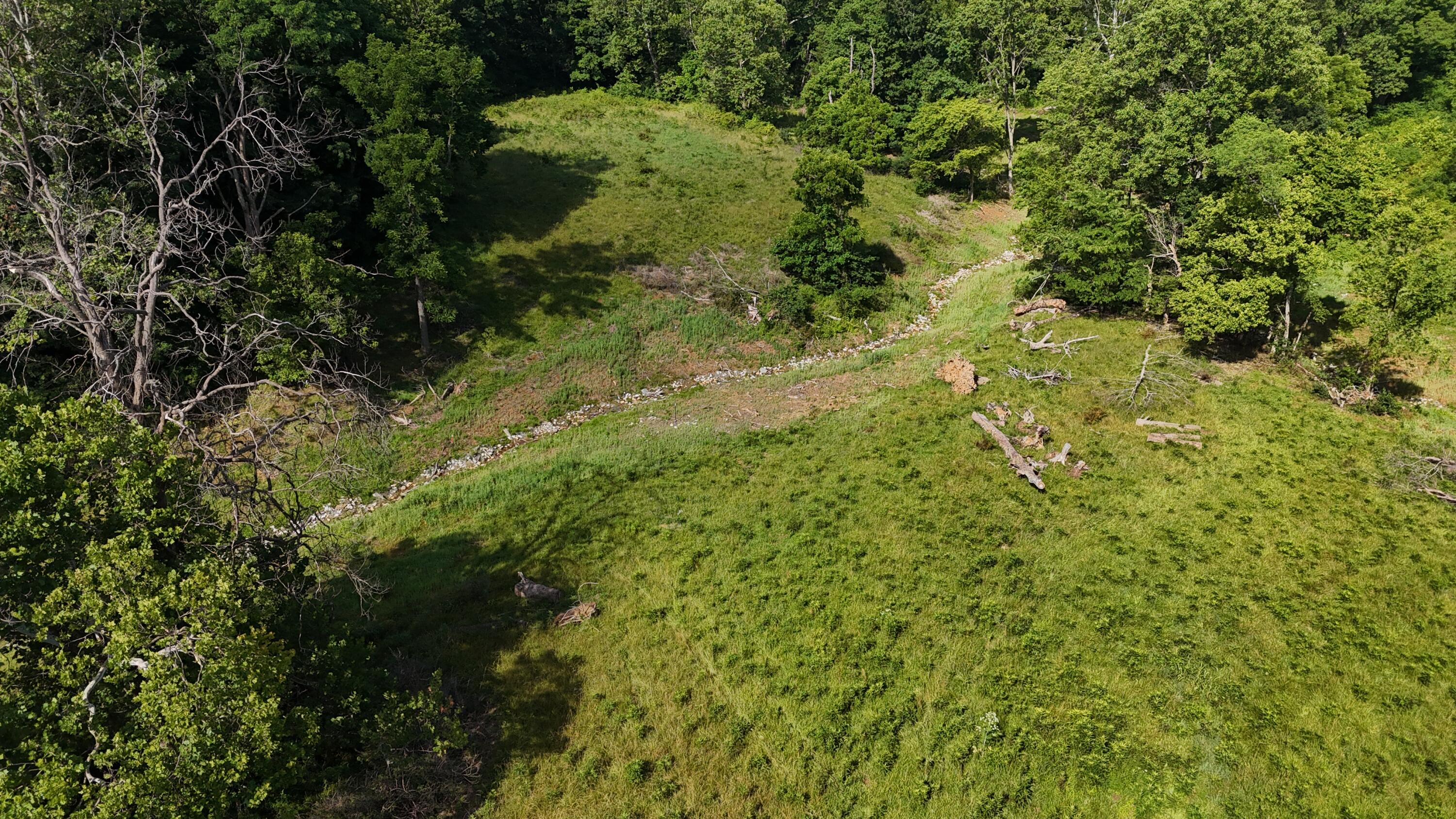9477 Beech Grove Road Property Photo 36