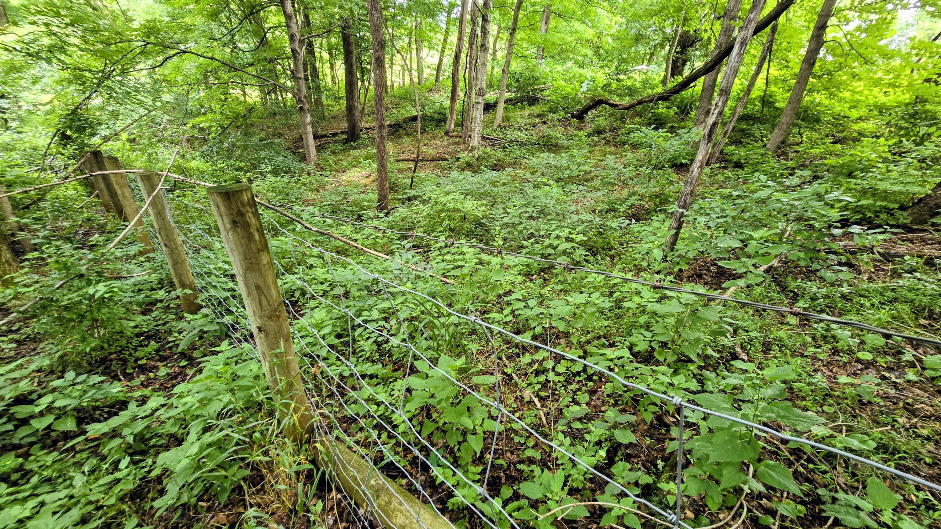9477 Beech Grove Road Property Photo 43