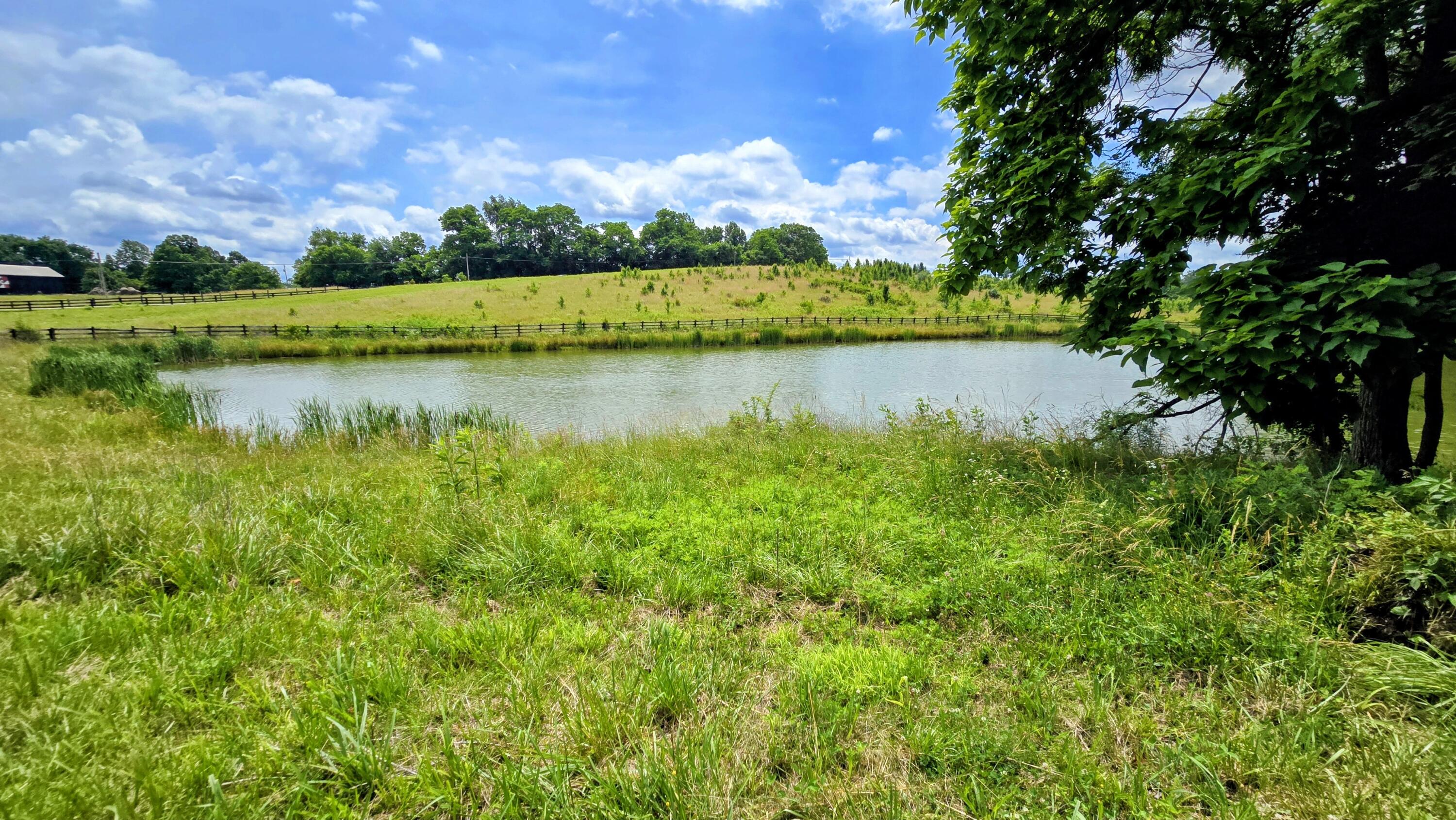 9477 Beech Grove Road Property Photo 44