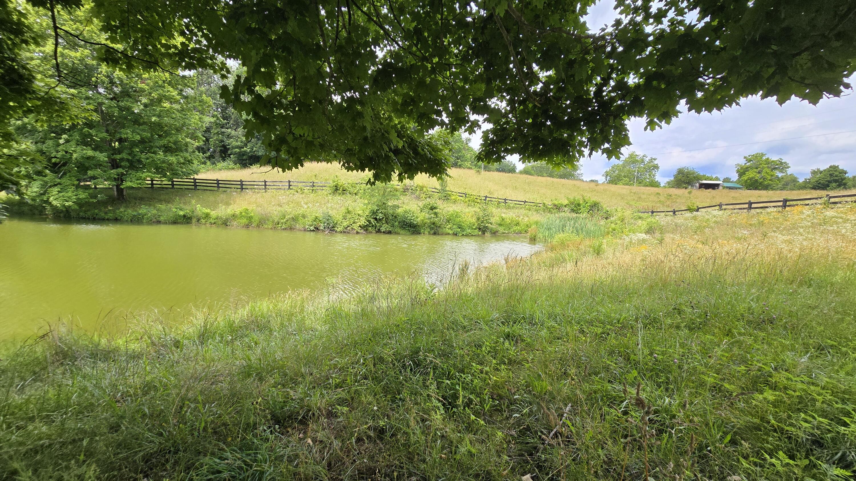 9477 Beech Grove Road Property Photo 45