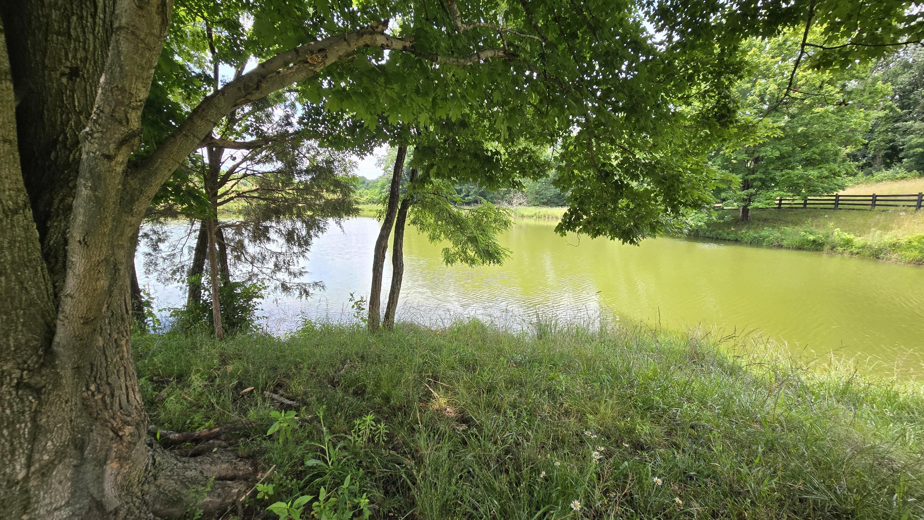 9477 Beech Grove Road Property Photo 46