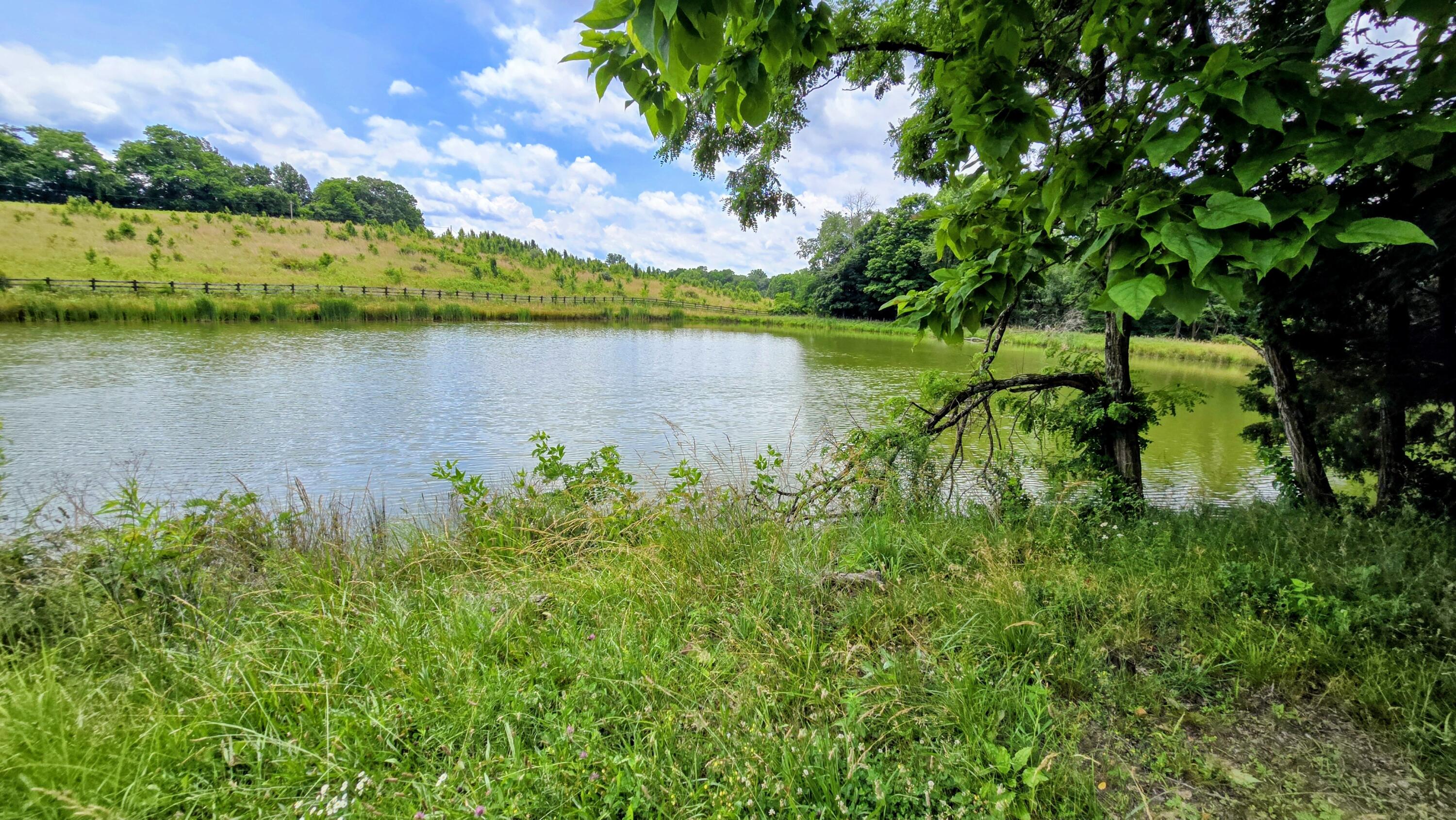 9477 Beech Grove Road Property Photo 47