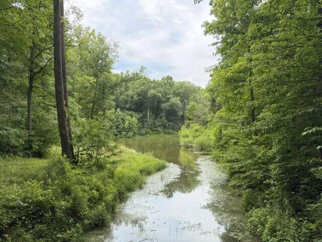 0 Pea Ridge Road Property Photo 9