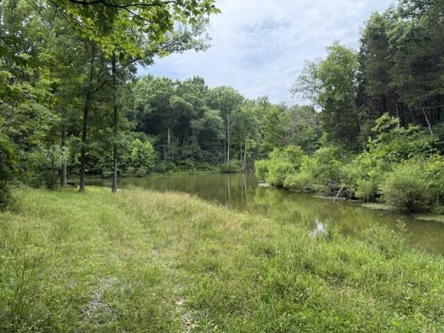0 Pea Ridge Road Property Photo 10