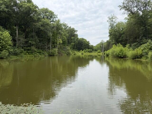 0 Pea Ridge Road Property Photo 11