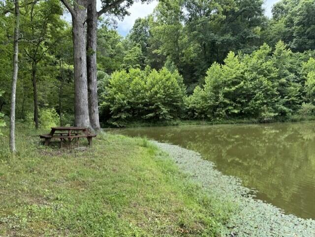 0 Pea Ridge Road Property Photo 12