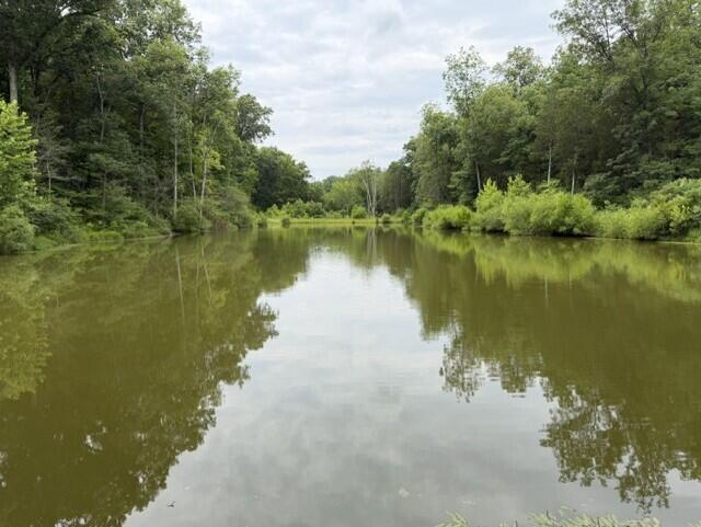0 Pea Ridge Road Property Photo 13