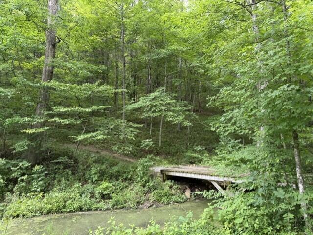 0 Pea Ridge Road Property Photo 14