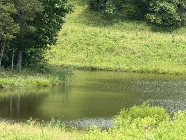 0 Pea Ridge Road Property Photo 15