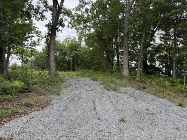 0 Pea Ridge Road Property Photo 16