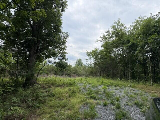 0 Pea Ridge Road Property Photo 17