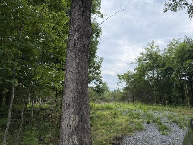 0 Pea Ridge Road Property Photo 18
