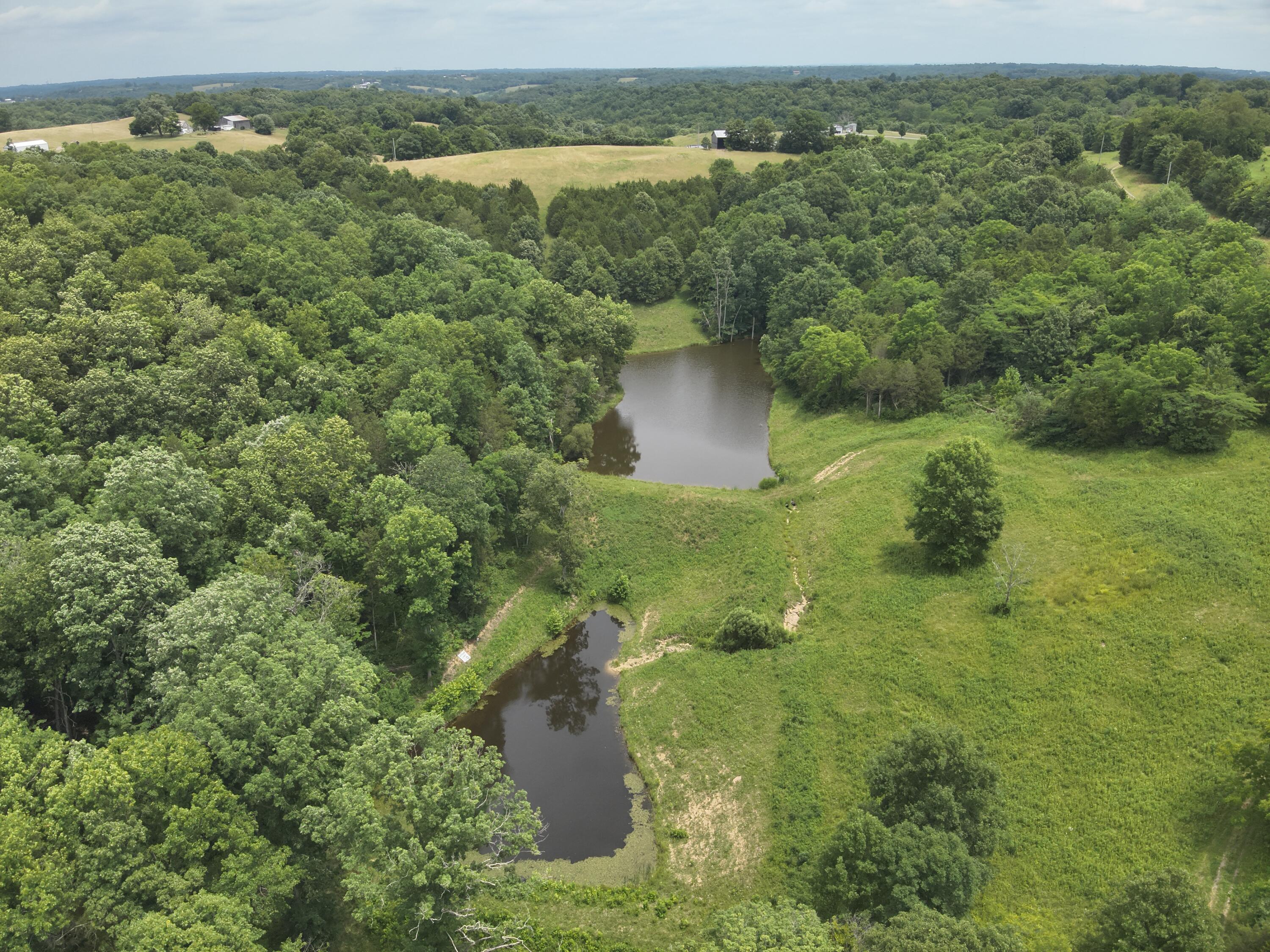 0 Pea Ridge Road Property Photo 21