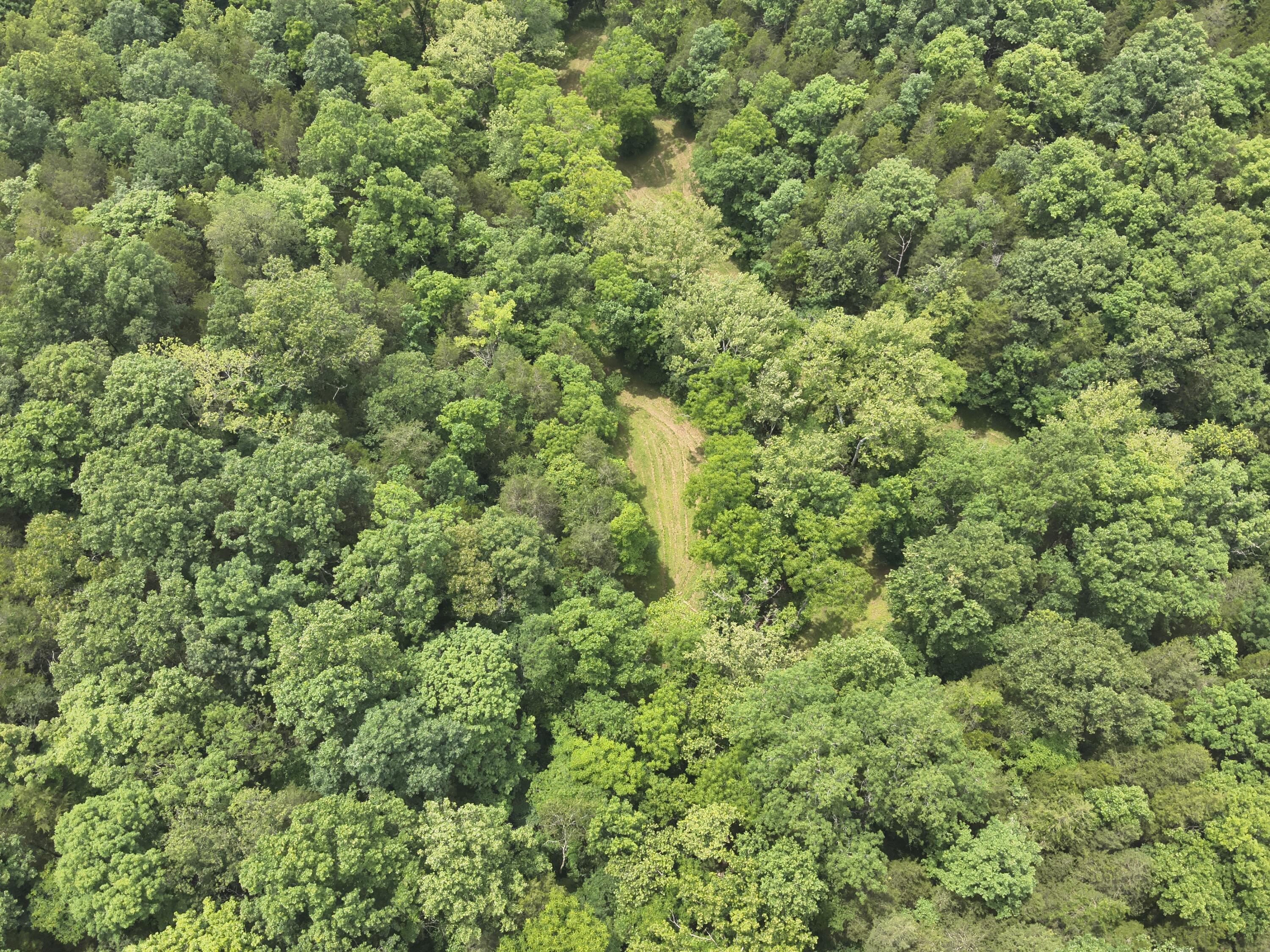 0 Pea Ridge Road Property Photo 24