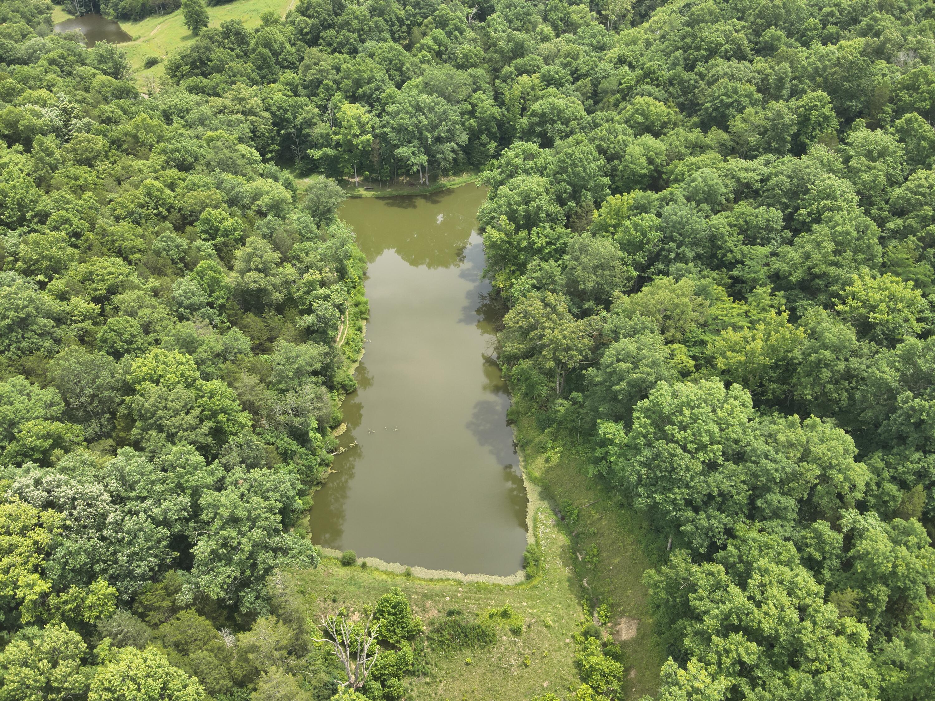 0 Pea Ridge Road Property Photo 25