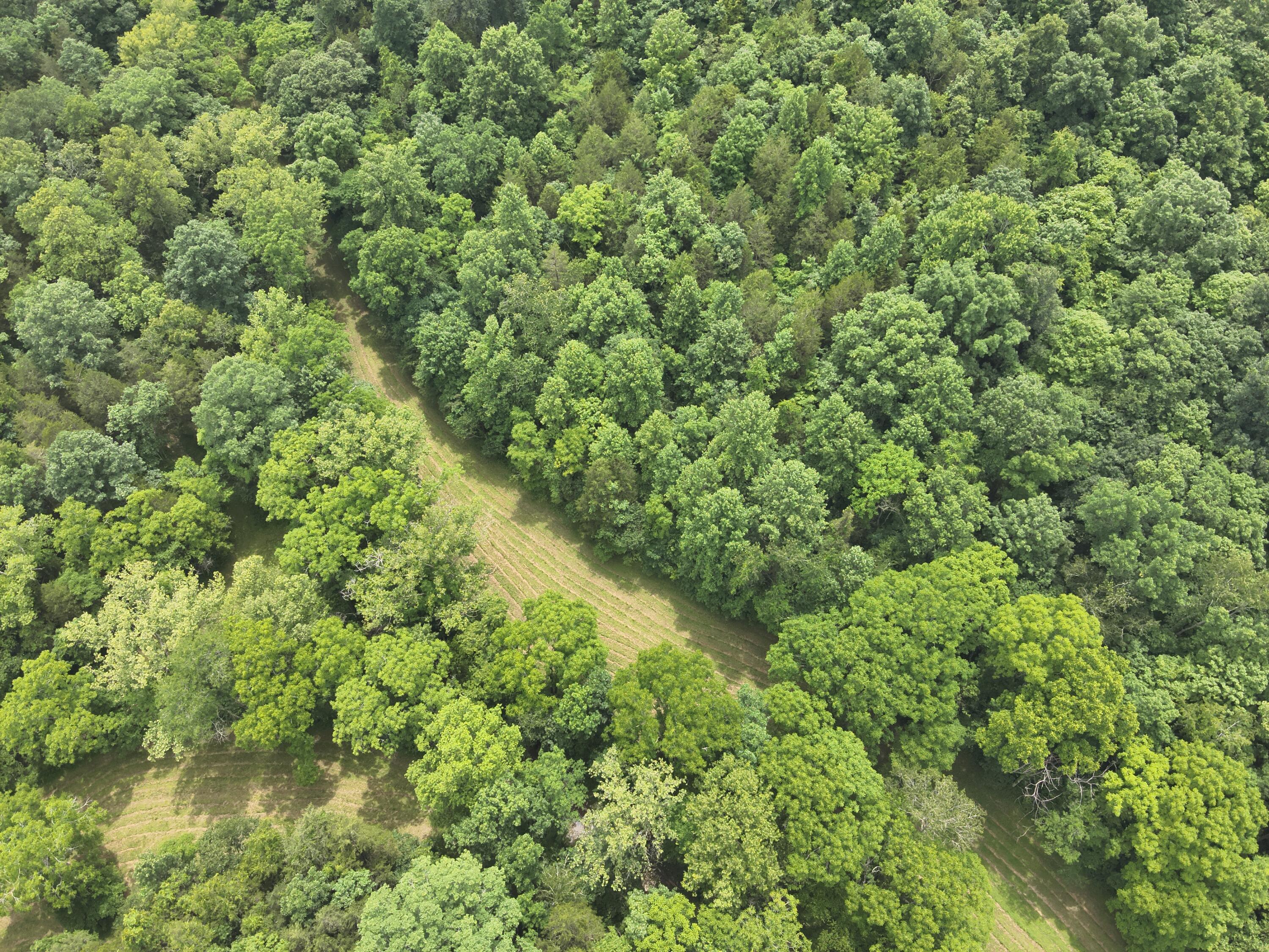 0 Pea Ridge Road Property Photo 26