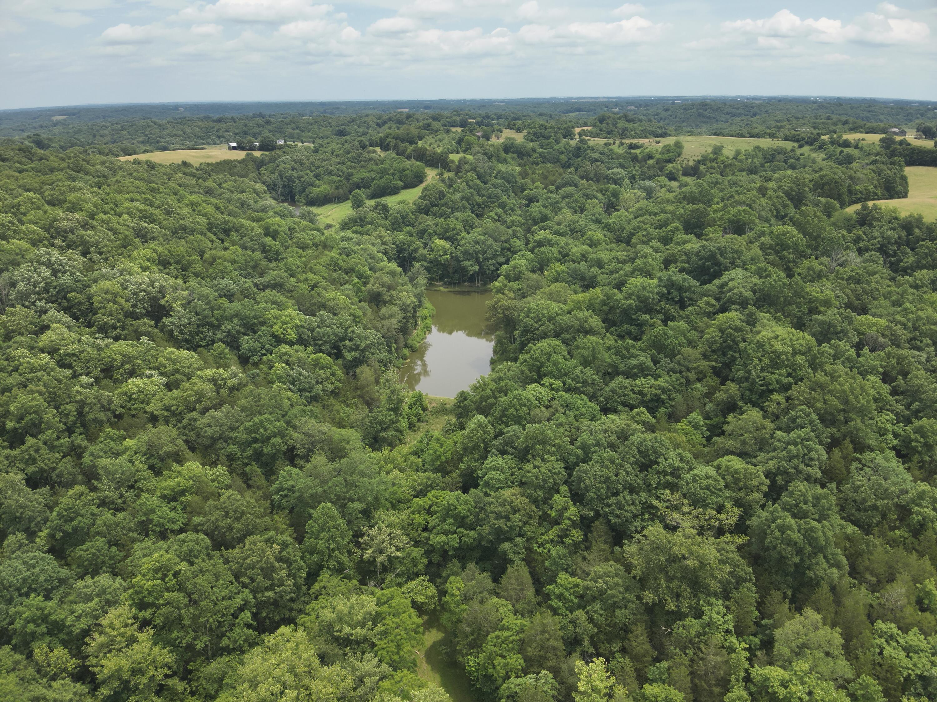 0 Pea Ridge Road Property Photo 27