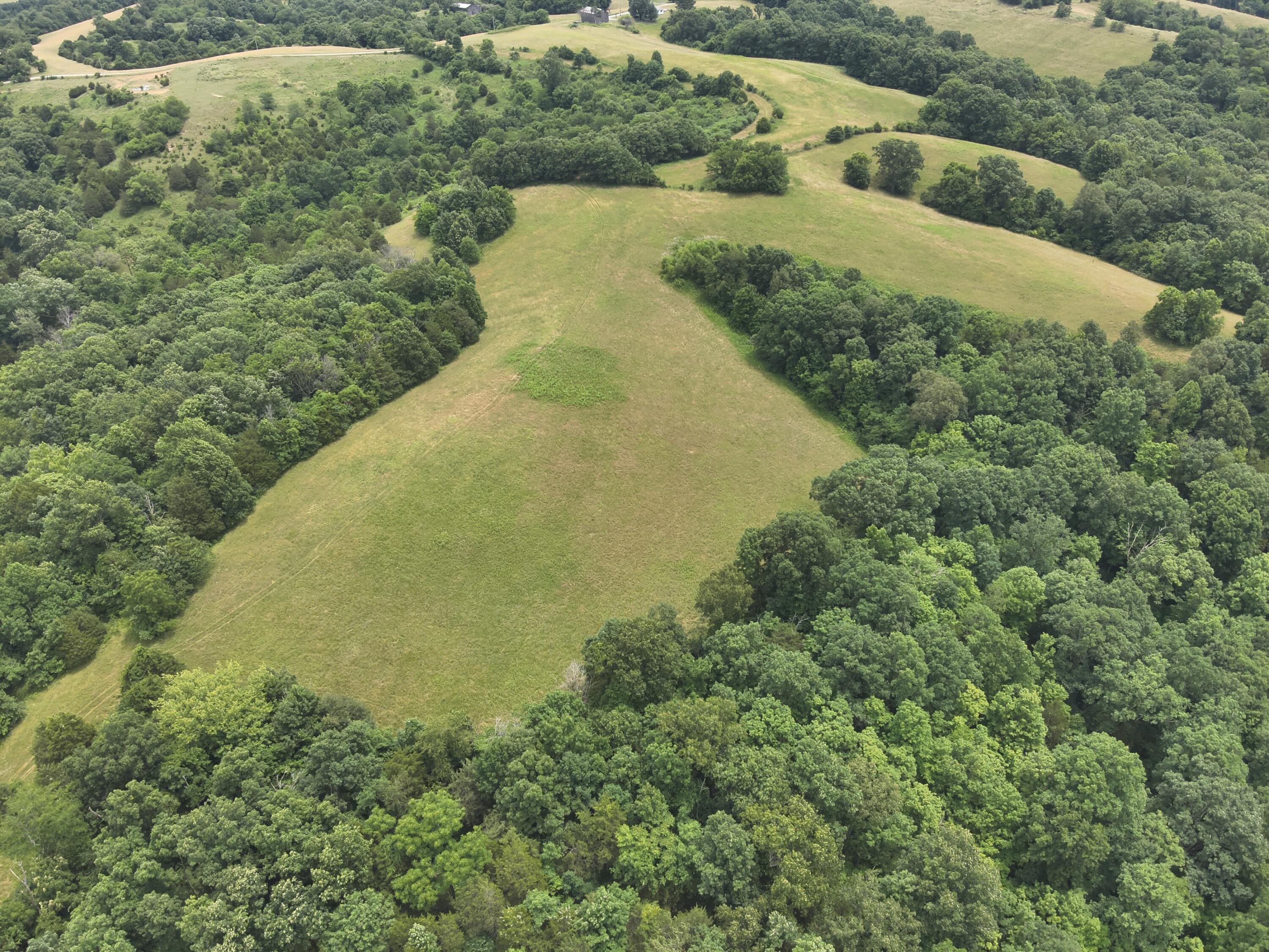 0 Pea Ridge Road Property Photo 28